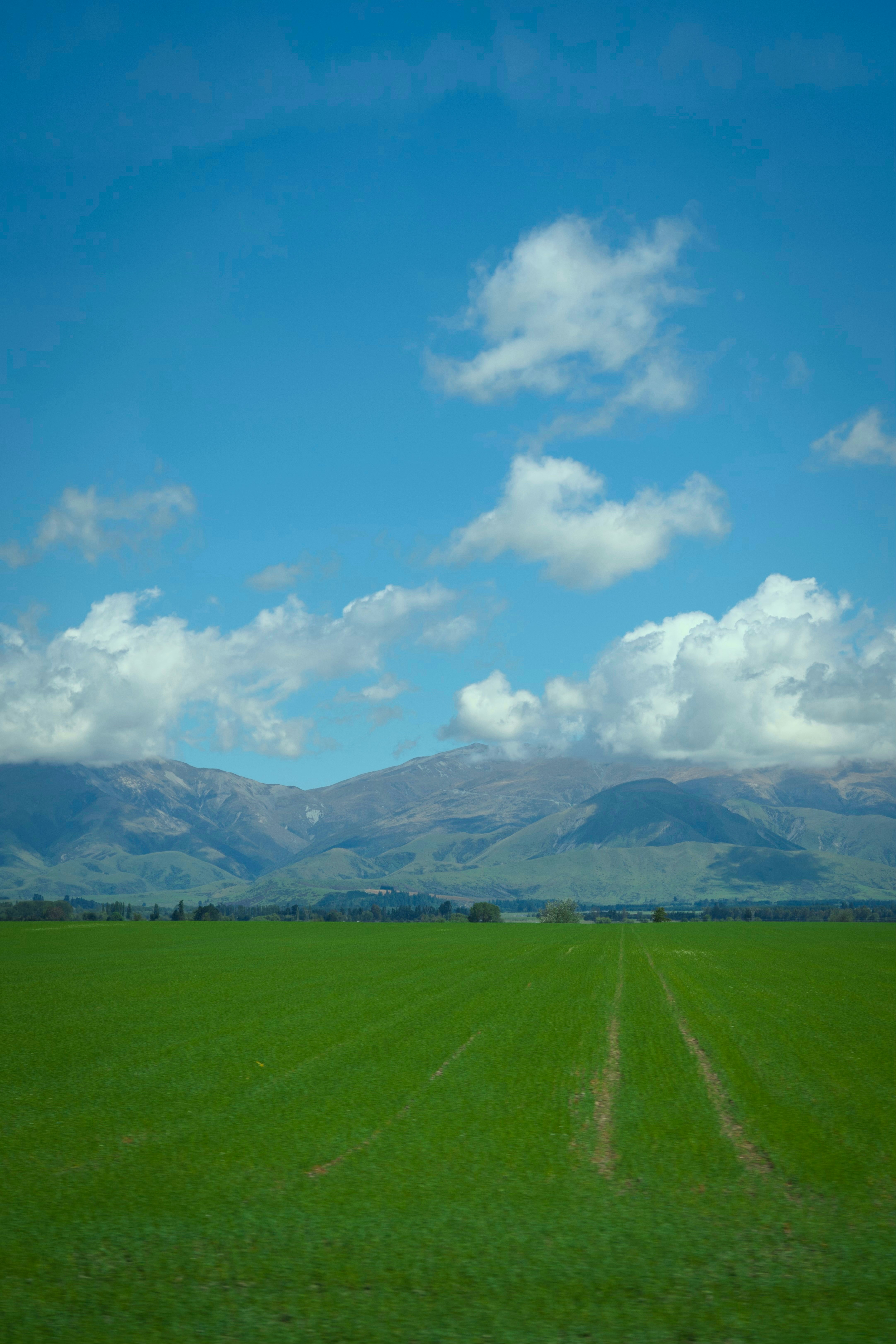Vast green field under a blue sky with mountains.