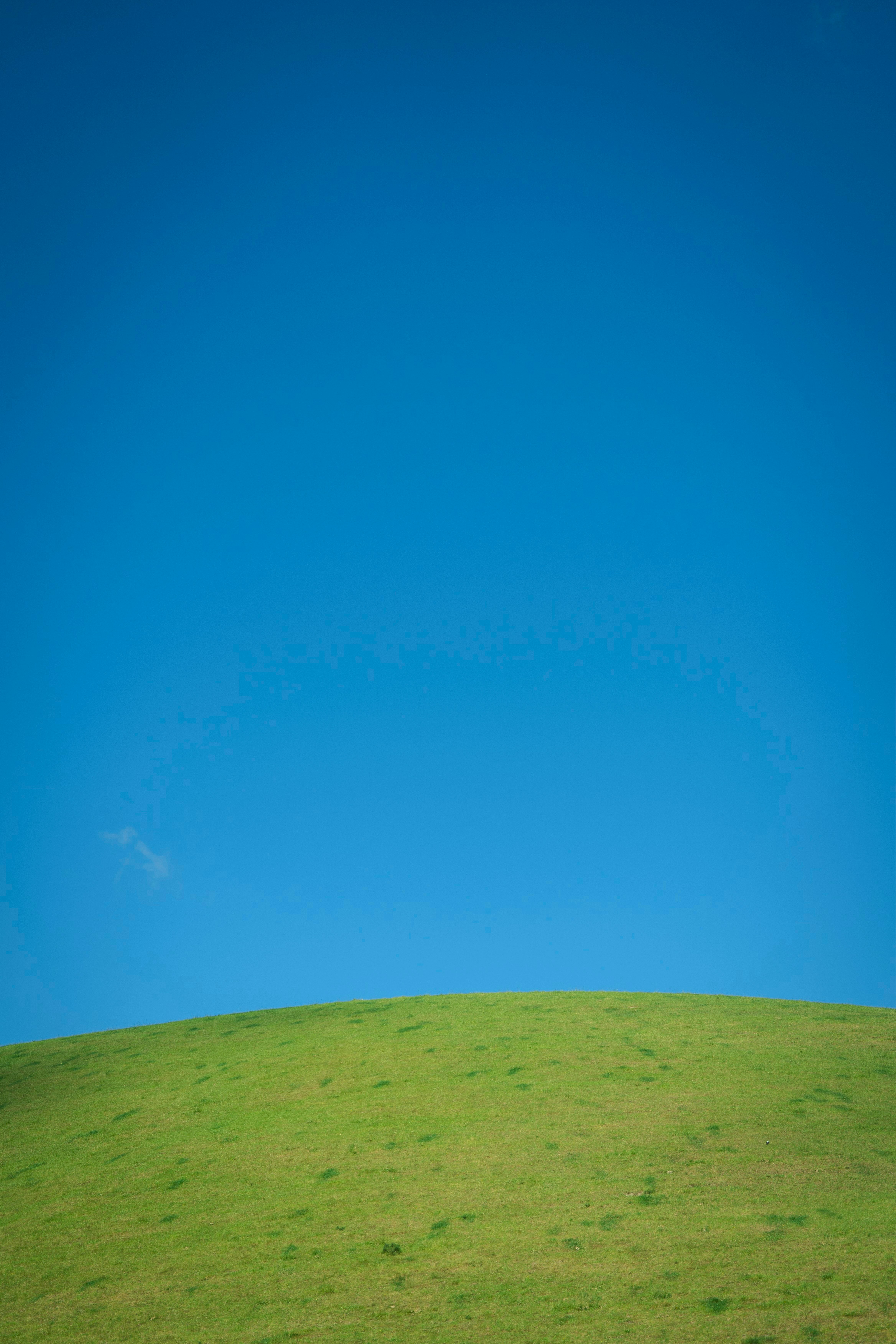 緑の丘の上に広がる広大な青空