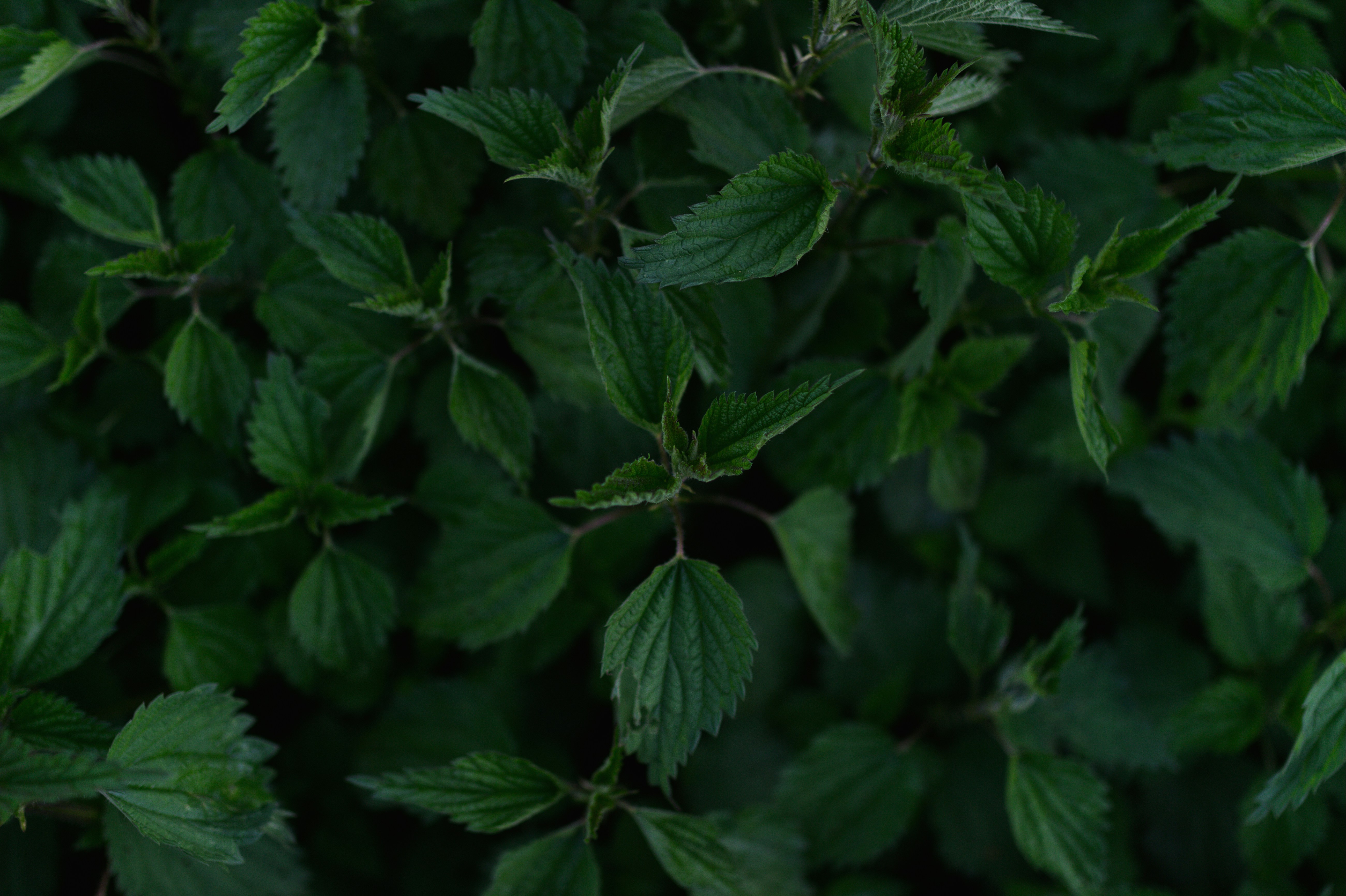 Photo by garnichtgarstig