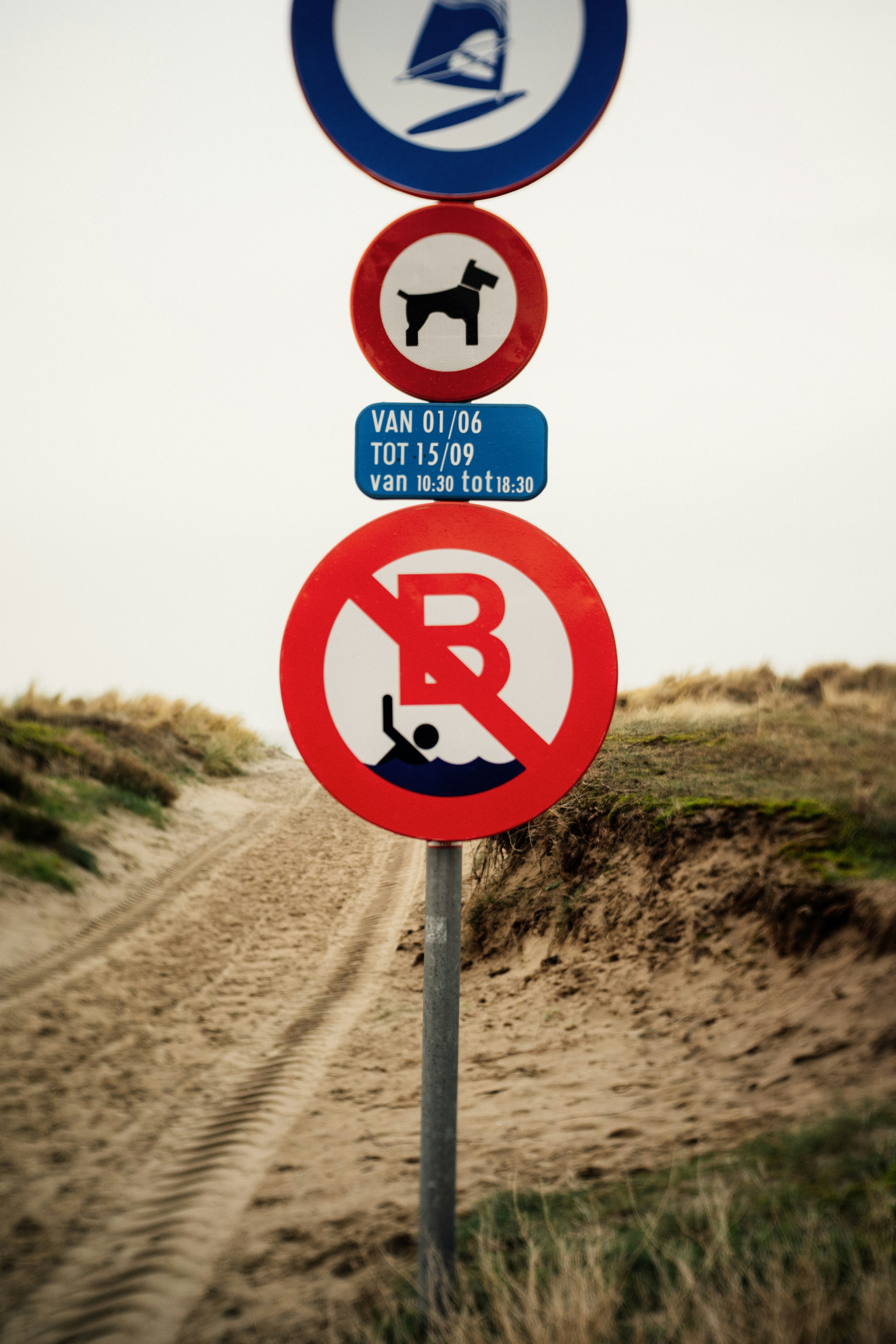 Señales de playa que indican normas para perros y natación.