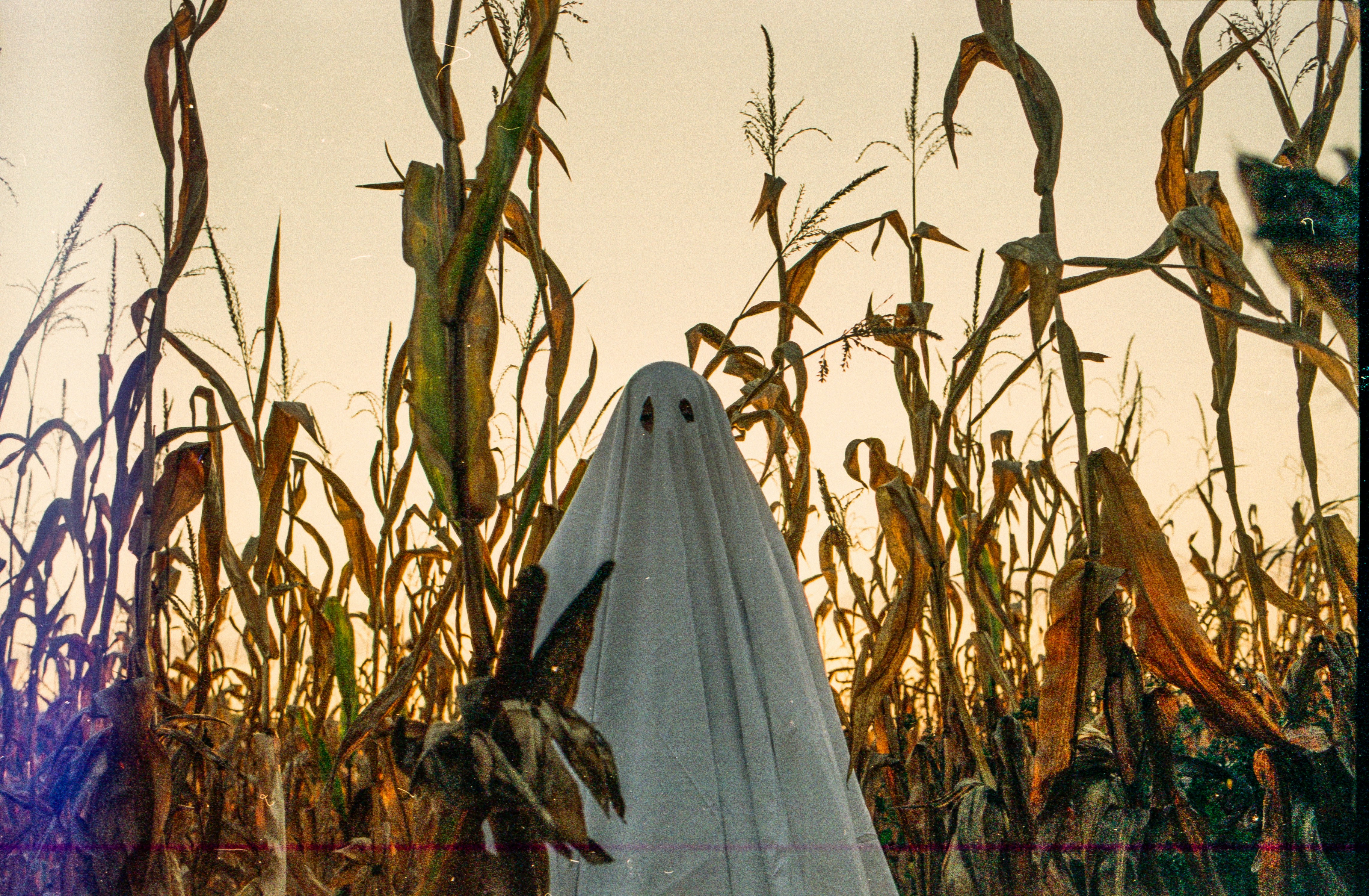 How To Buy The Best Car For The Least Money