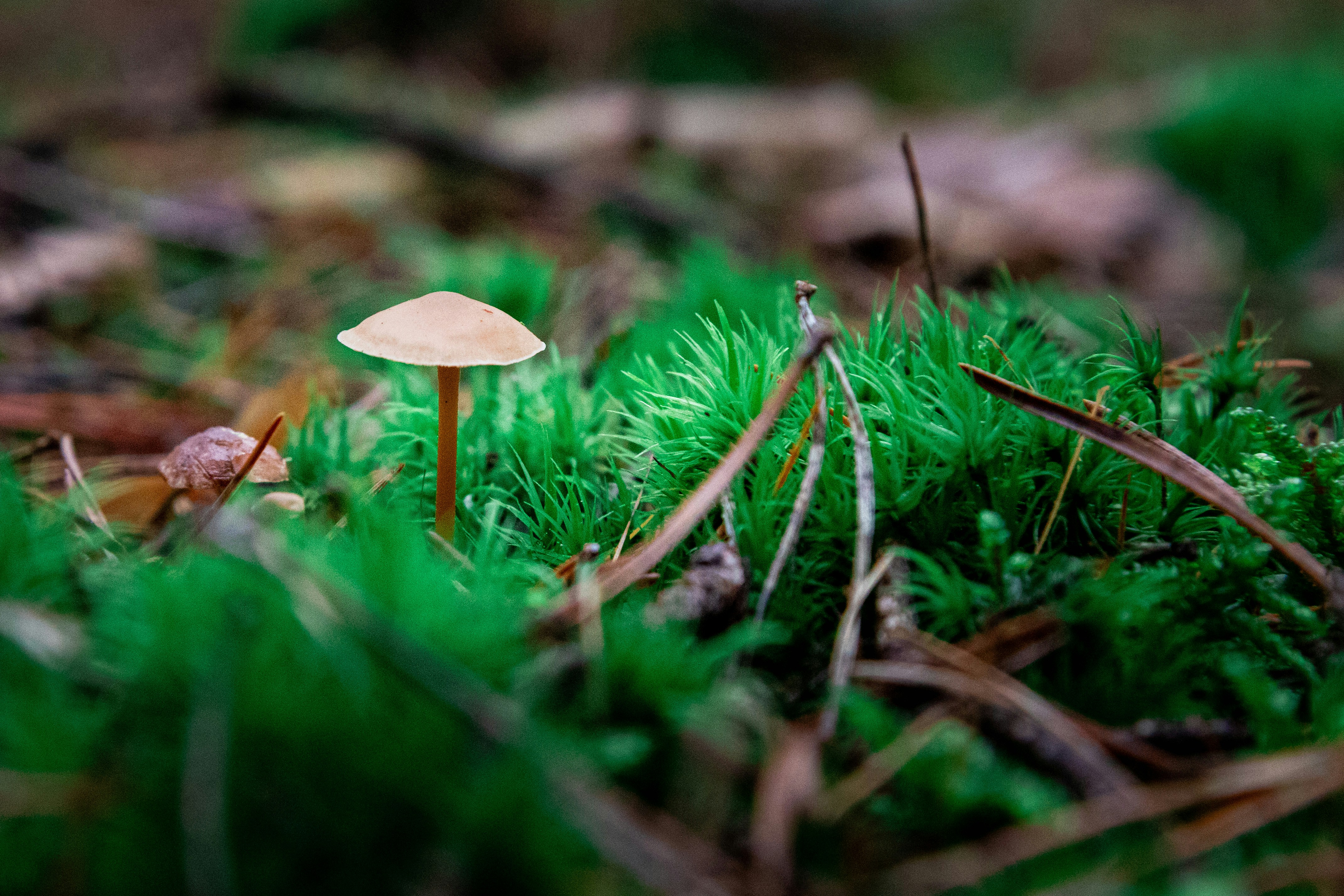 Photo by maximalfreak