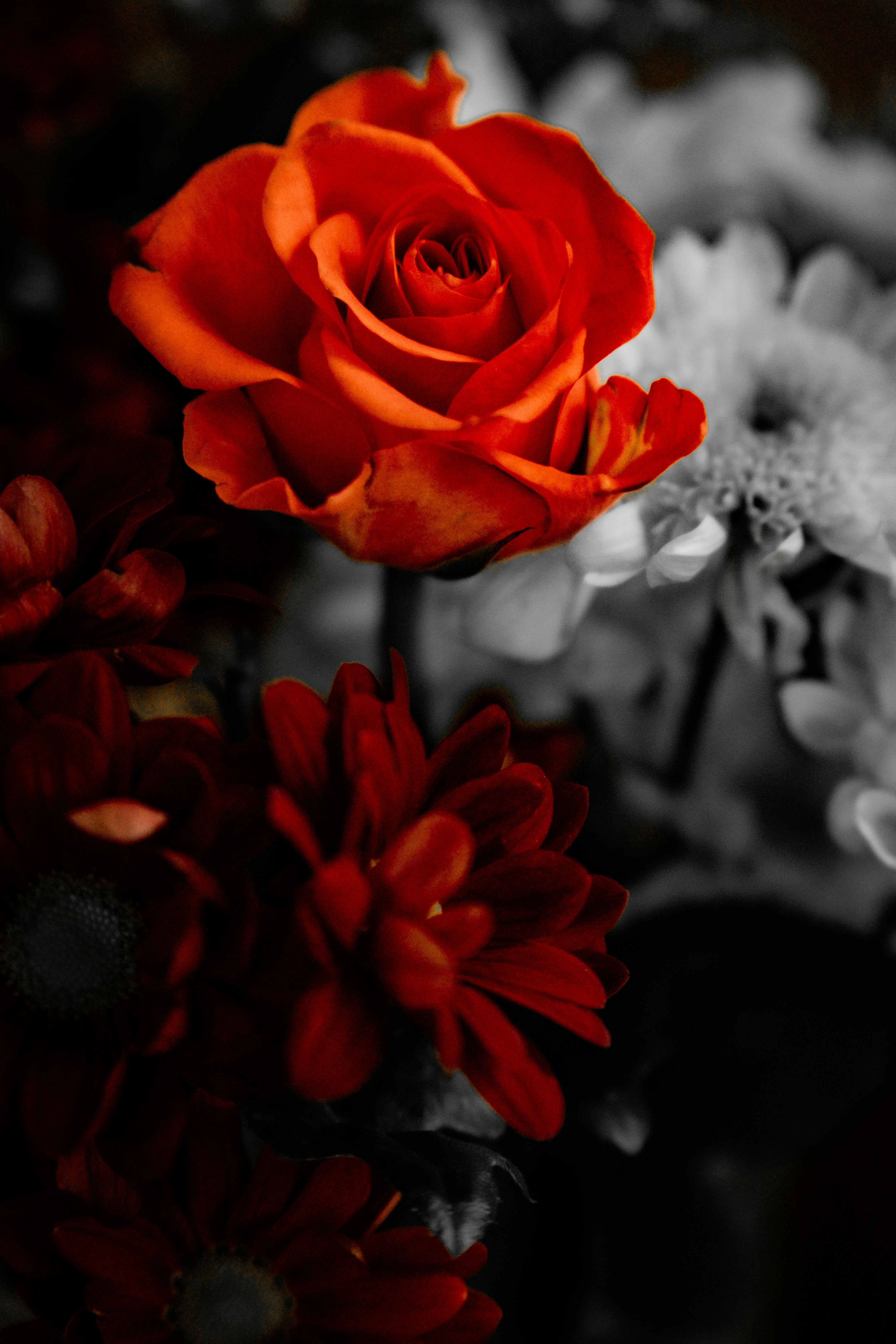 Photo by atelierbyvineeth