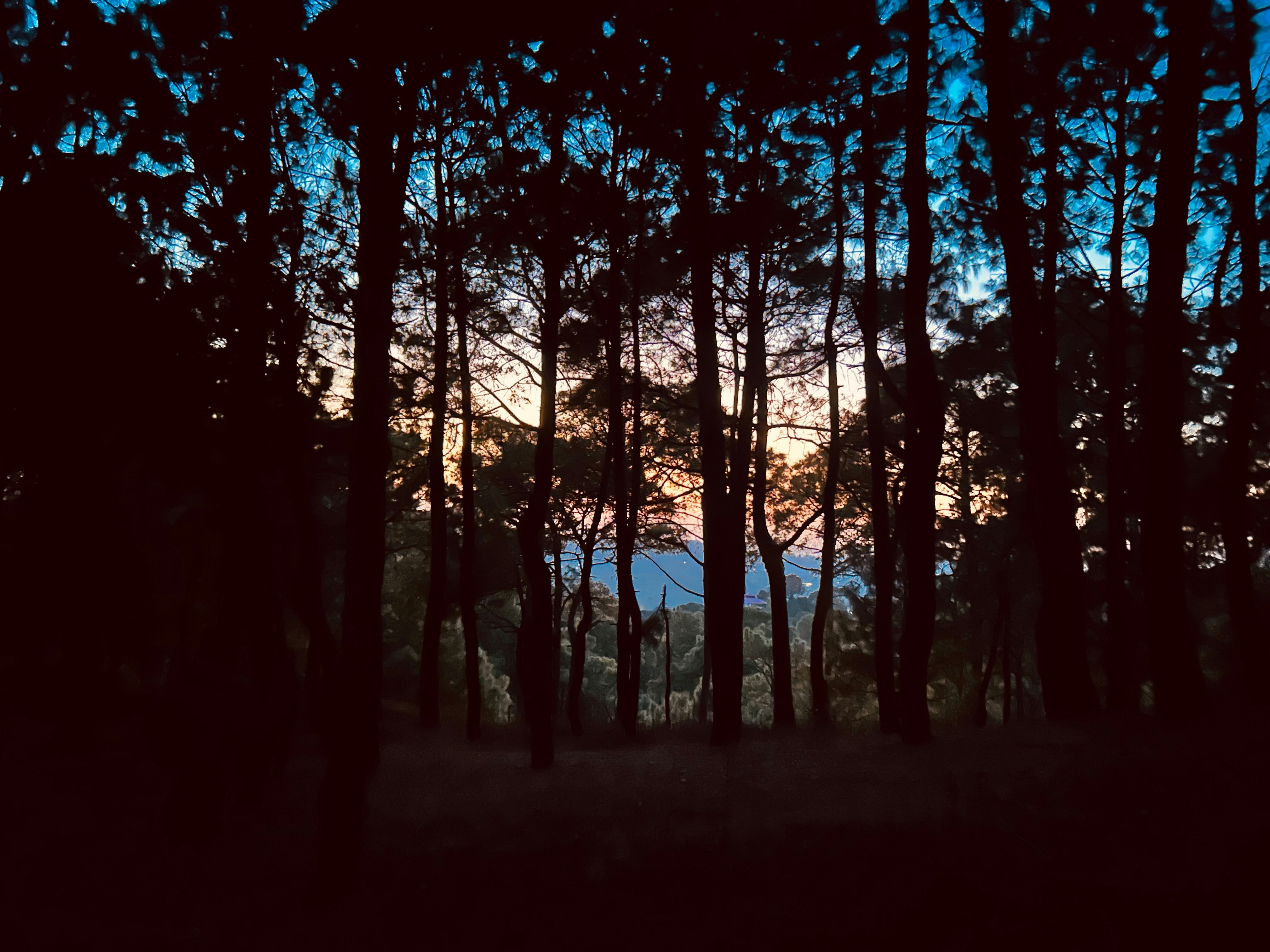 Photo by ajay_pov