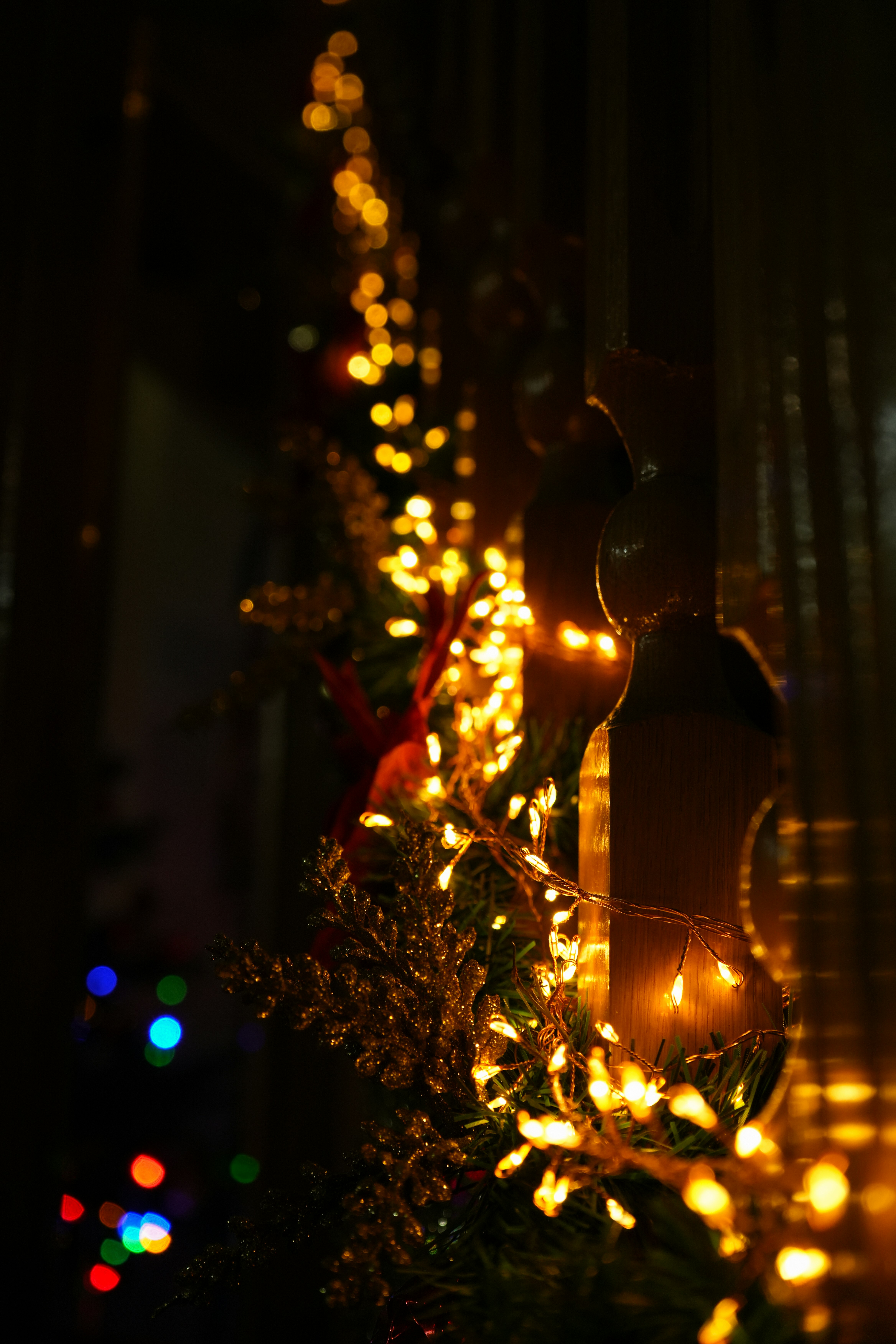 Twinkling christmas lights illuminate a decorated tree.