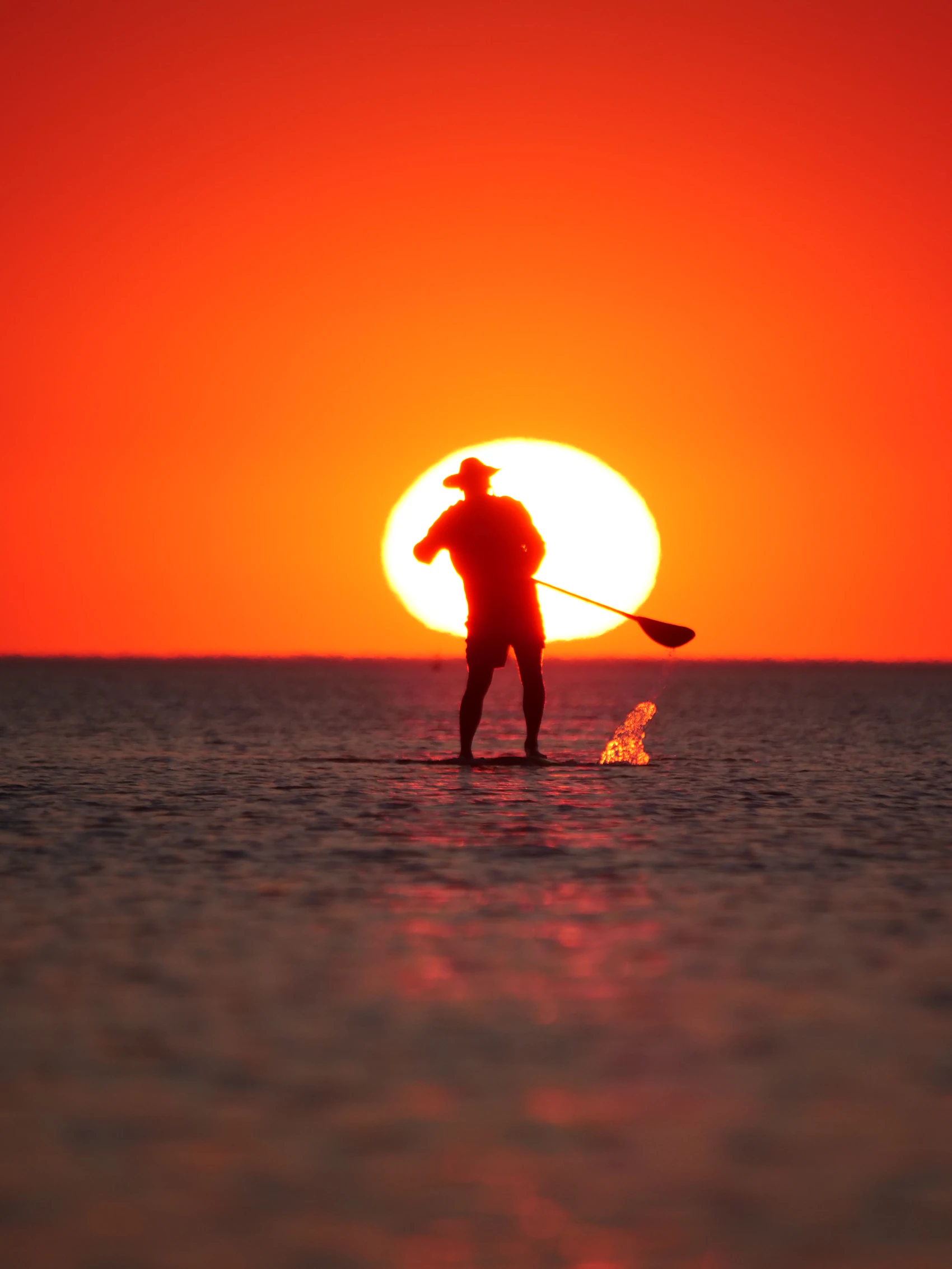 Silhouette d'un rameur en paddle au coucher de soleil sur l'océan