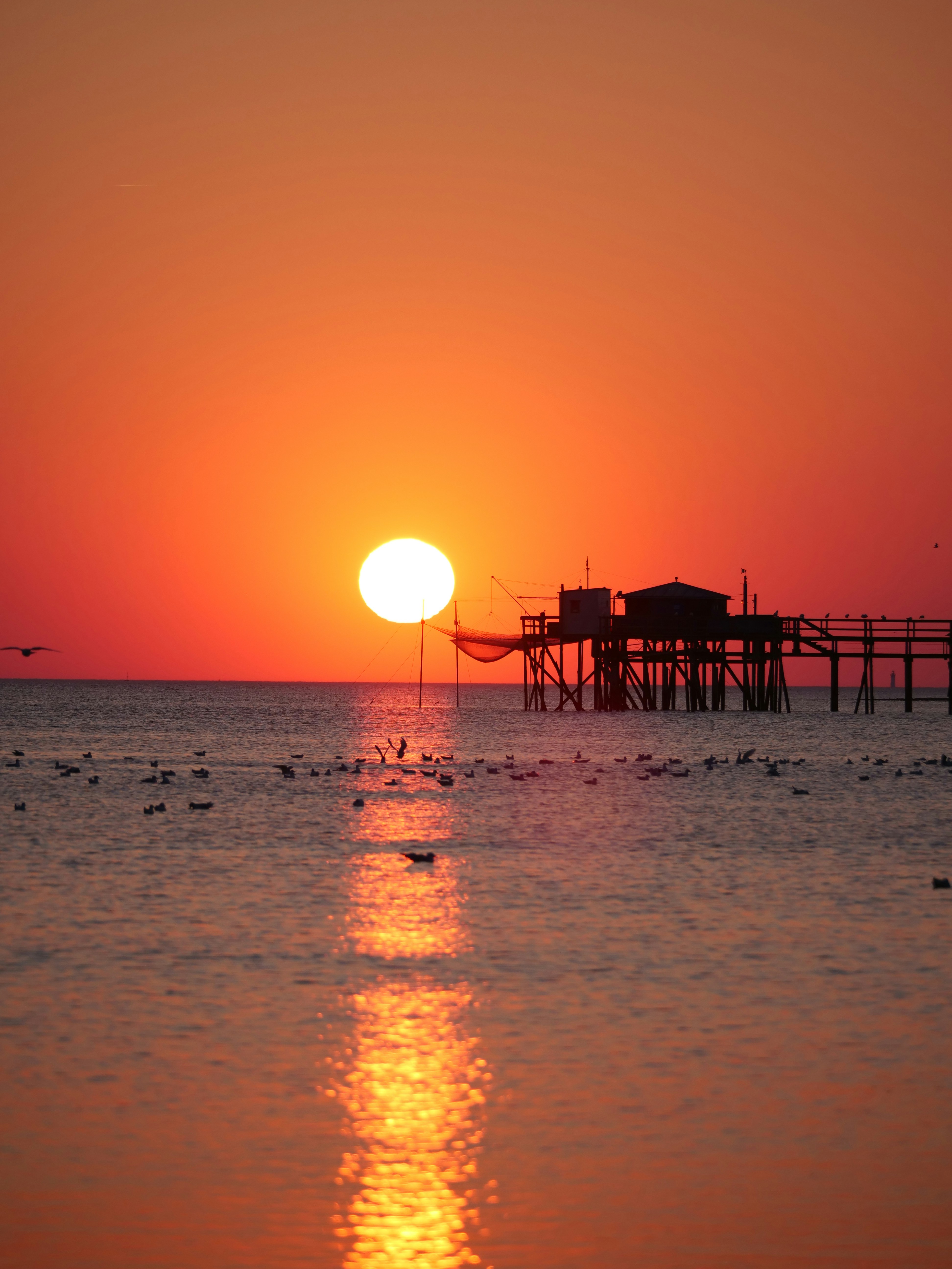 Photo by nimbus_vulpis