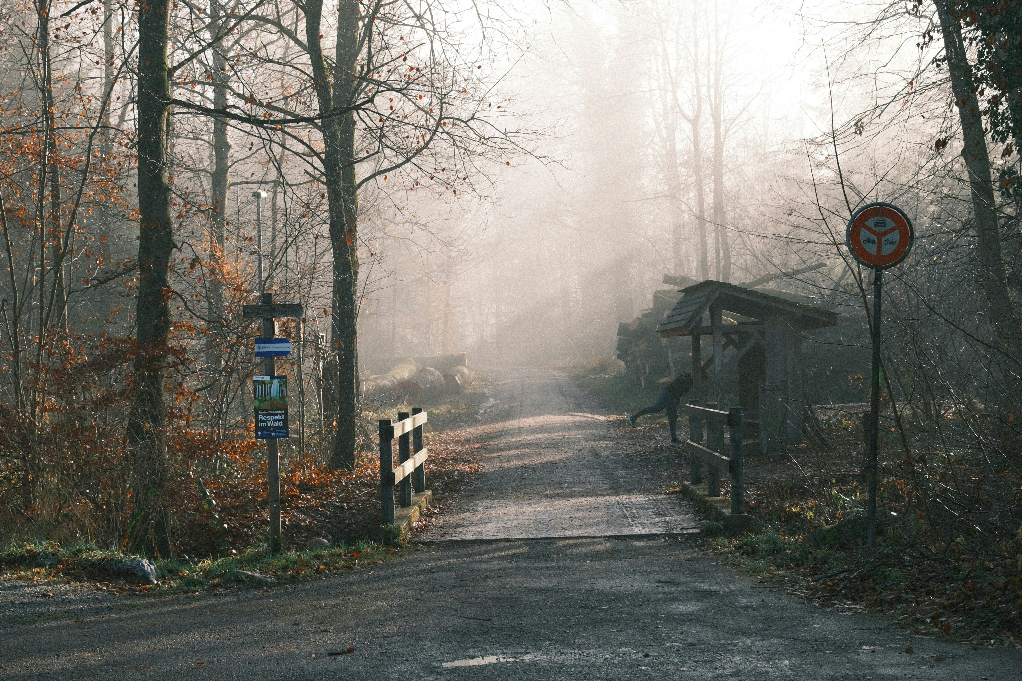 Un sentier forestier brumeux avec un petit pont et des panneaux.