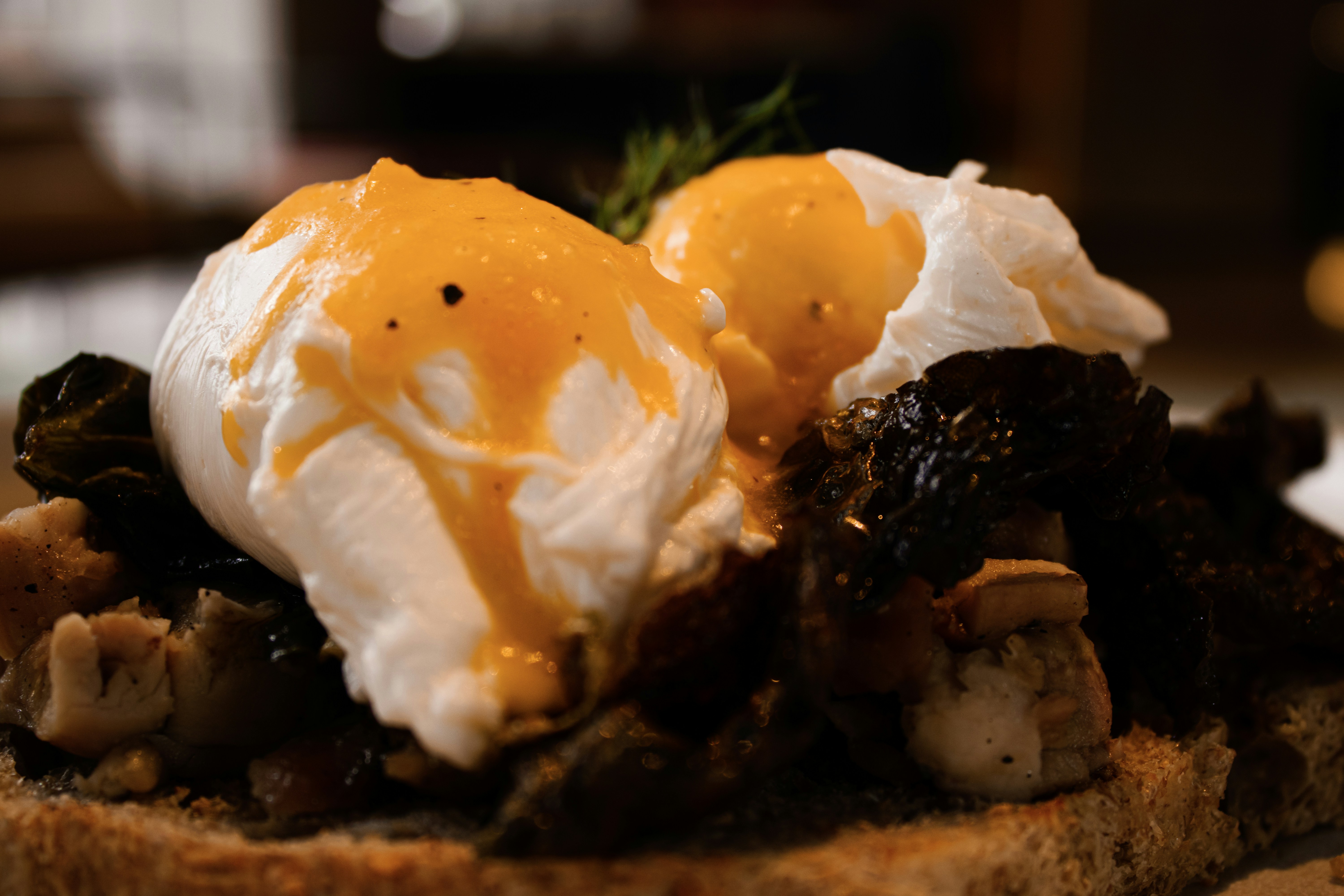 The Best of Streaming Cooking Shows: What’s on Offer?