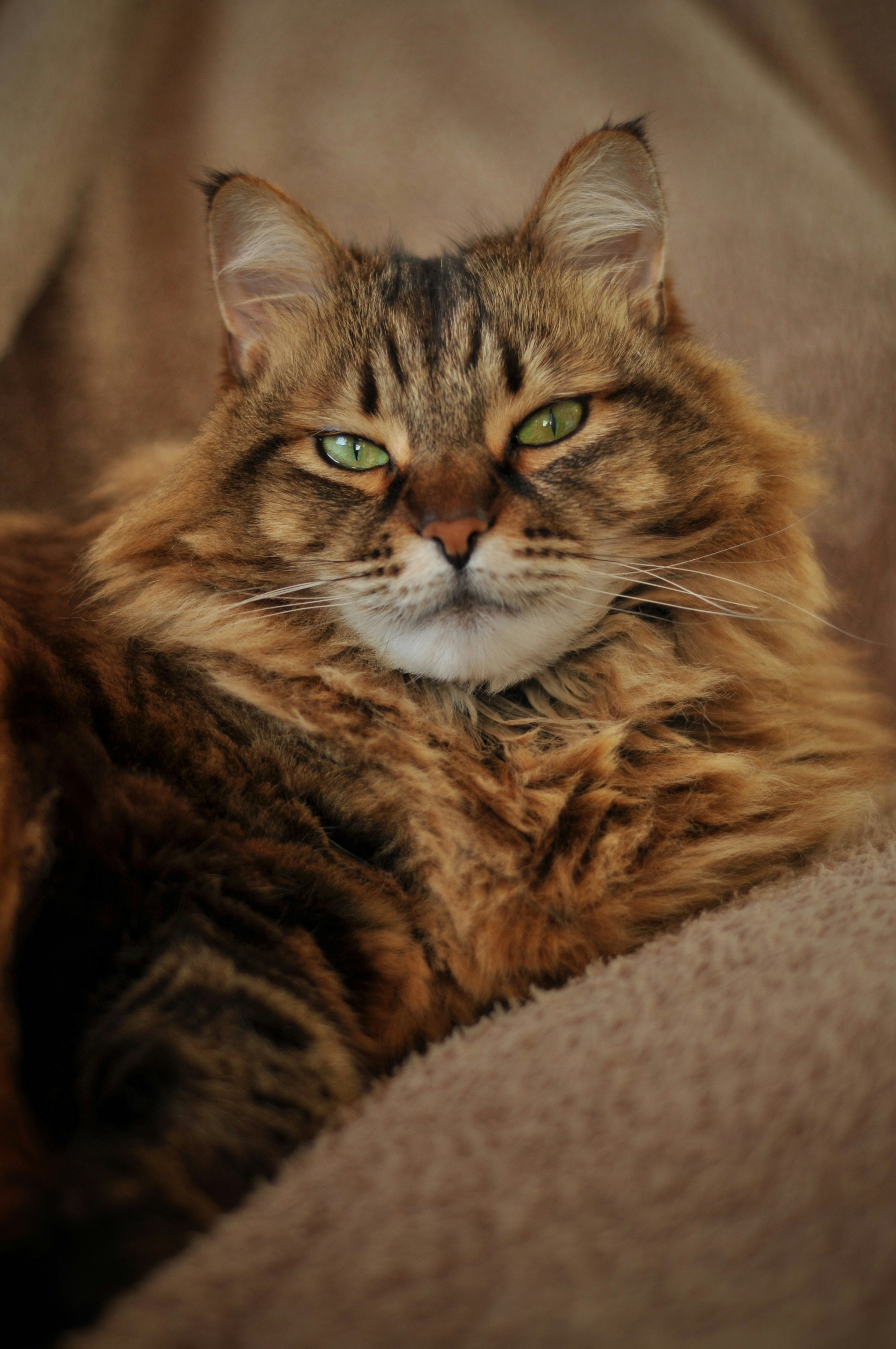 Photo by gorchinska88