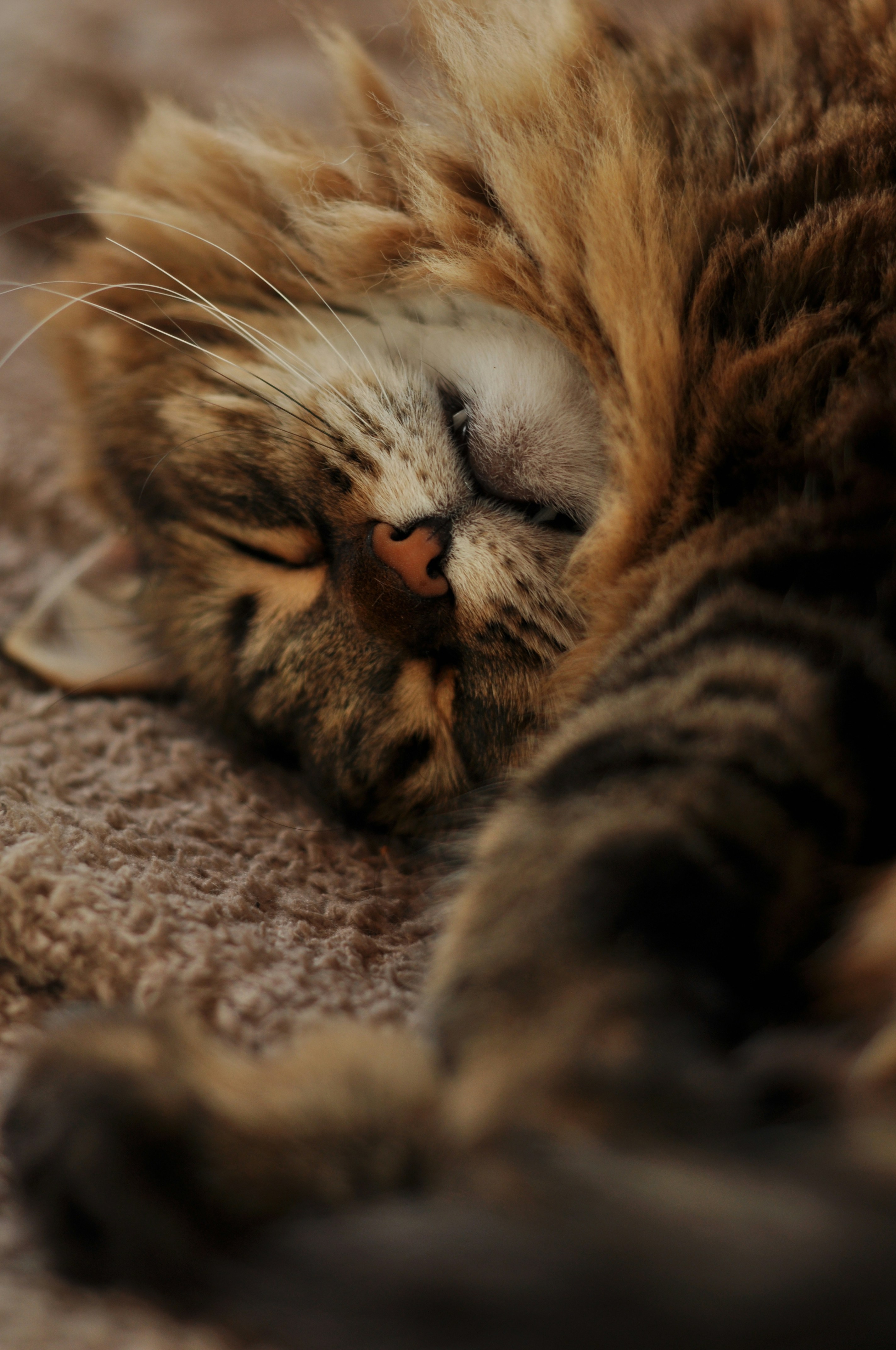 Photo by gorchinska88