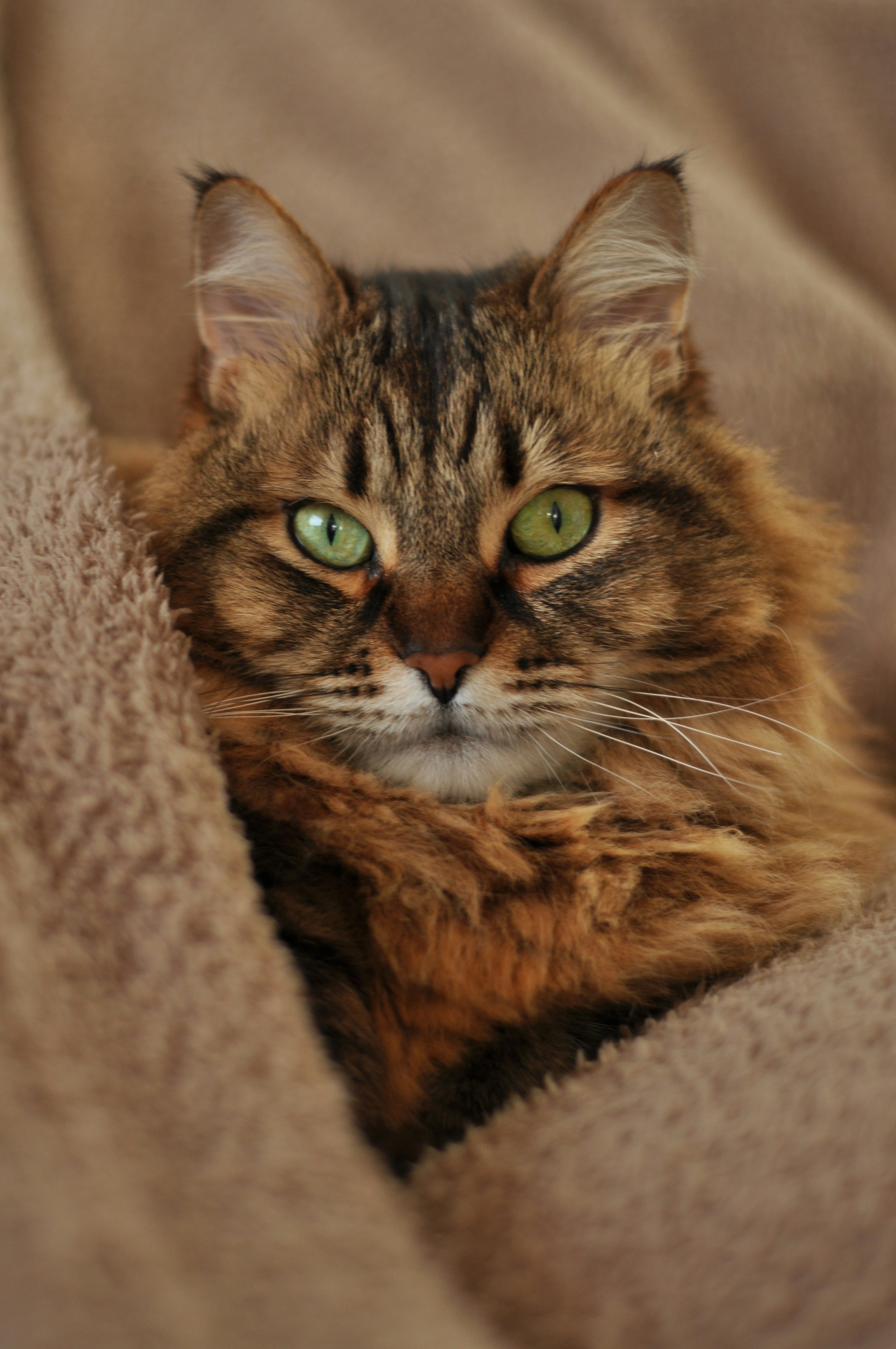 Photo by gorchinska88