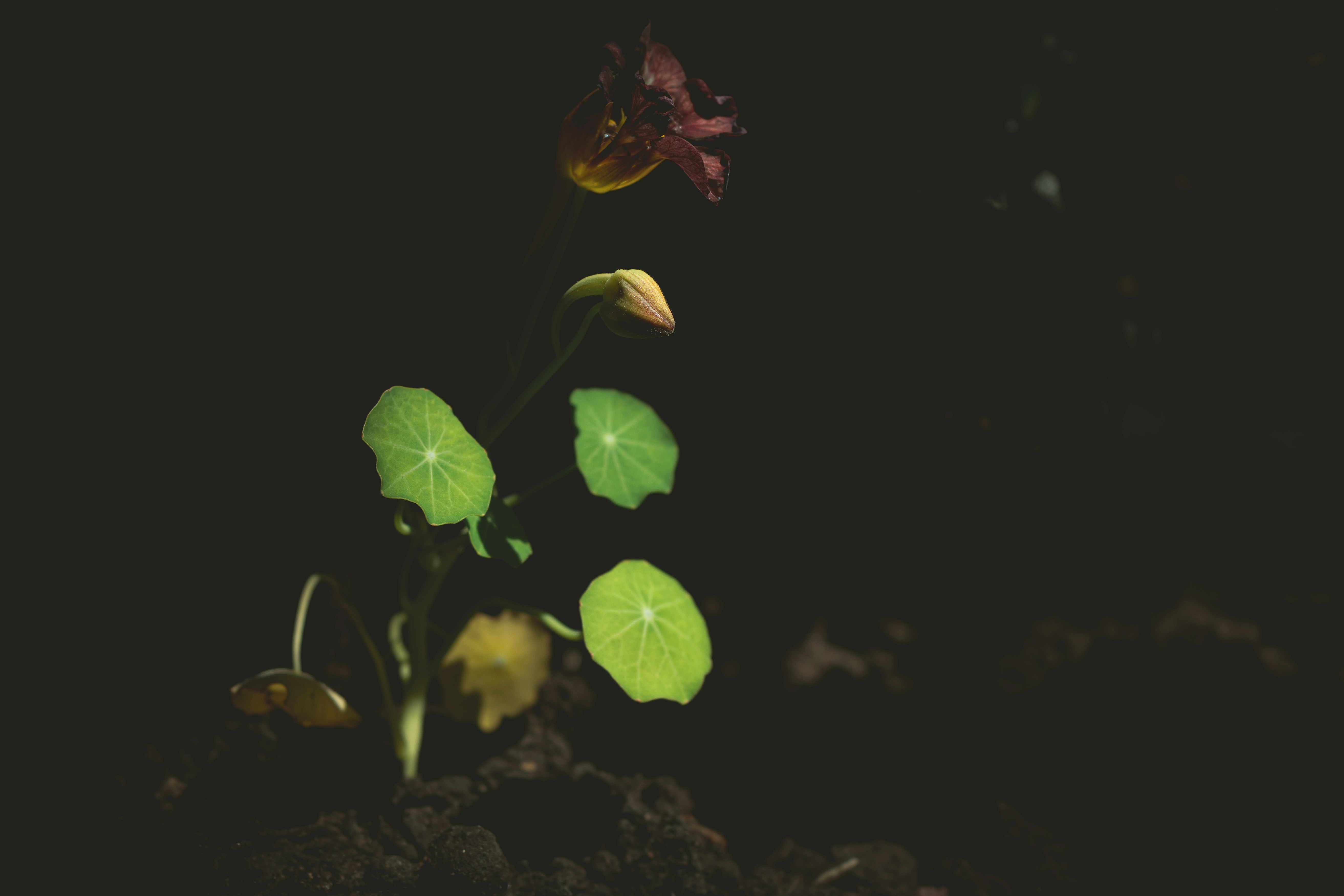 Photo by ellyendeavours