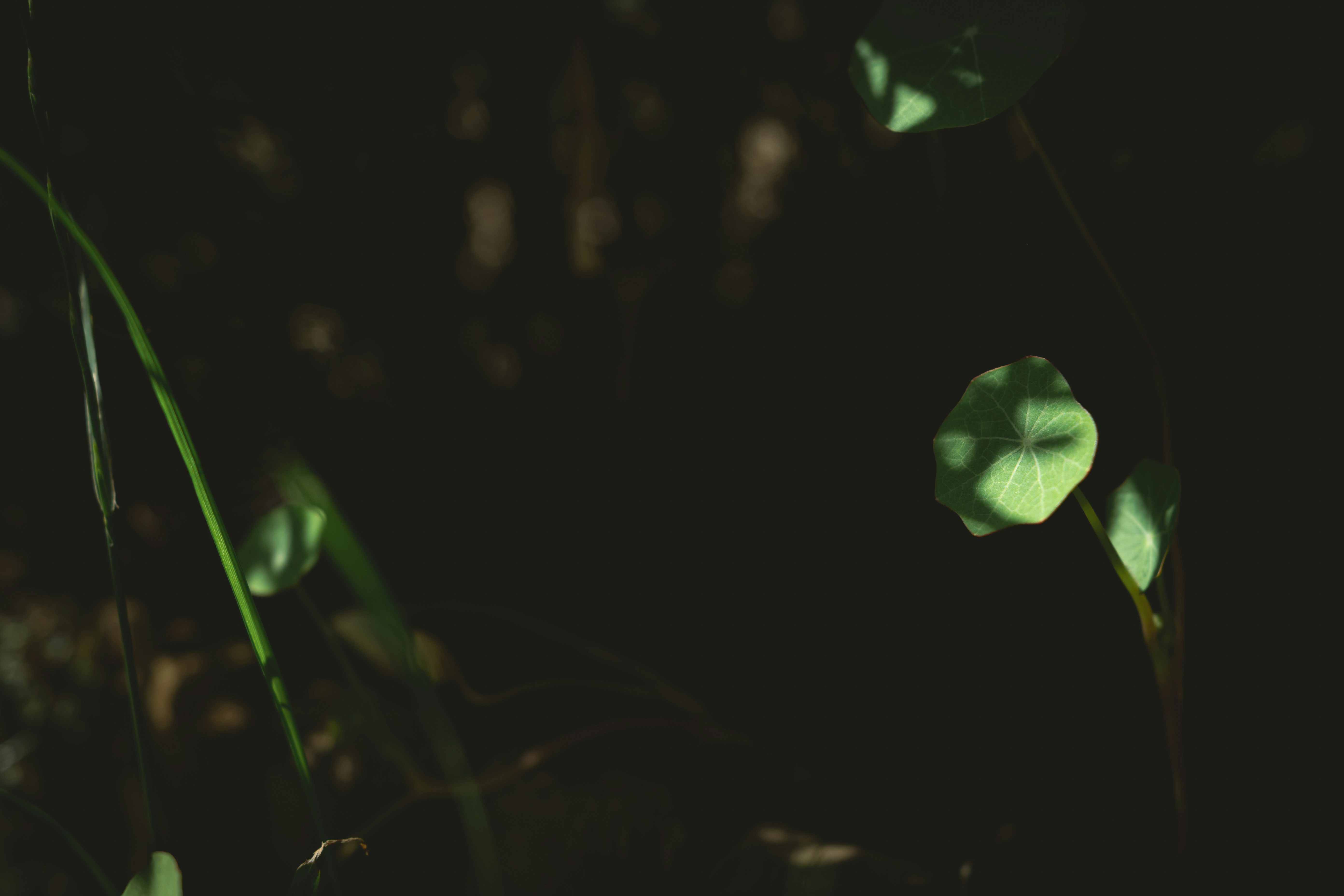 Photo by ellyendeavours