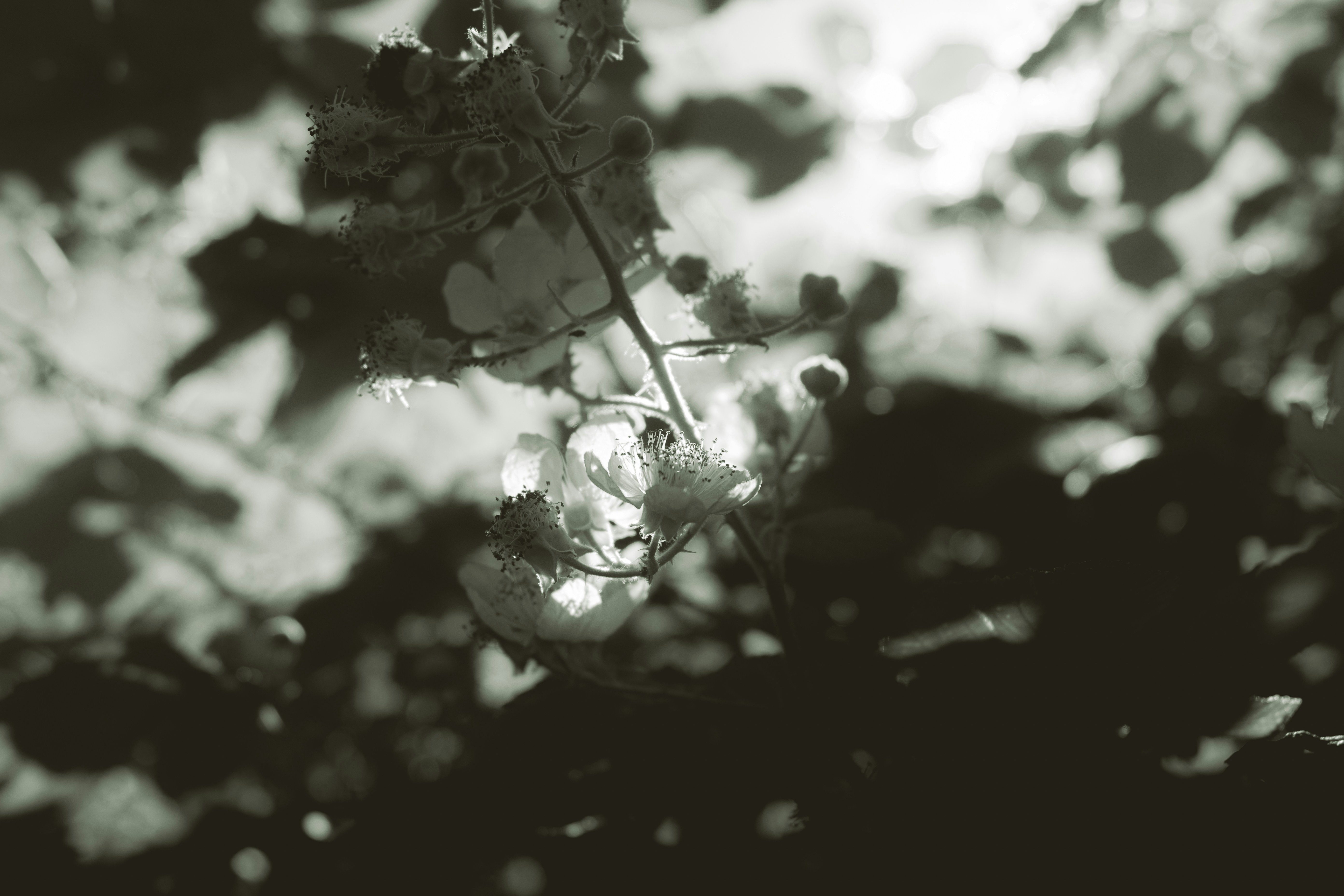 Photo by ellyendeavours