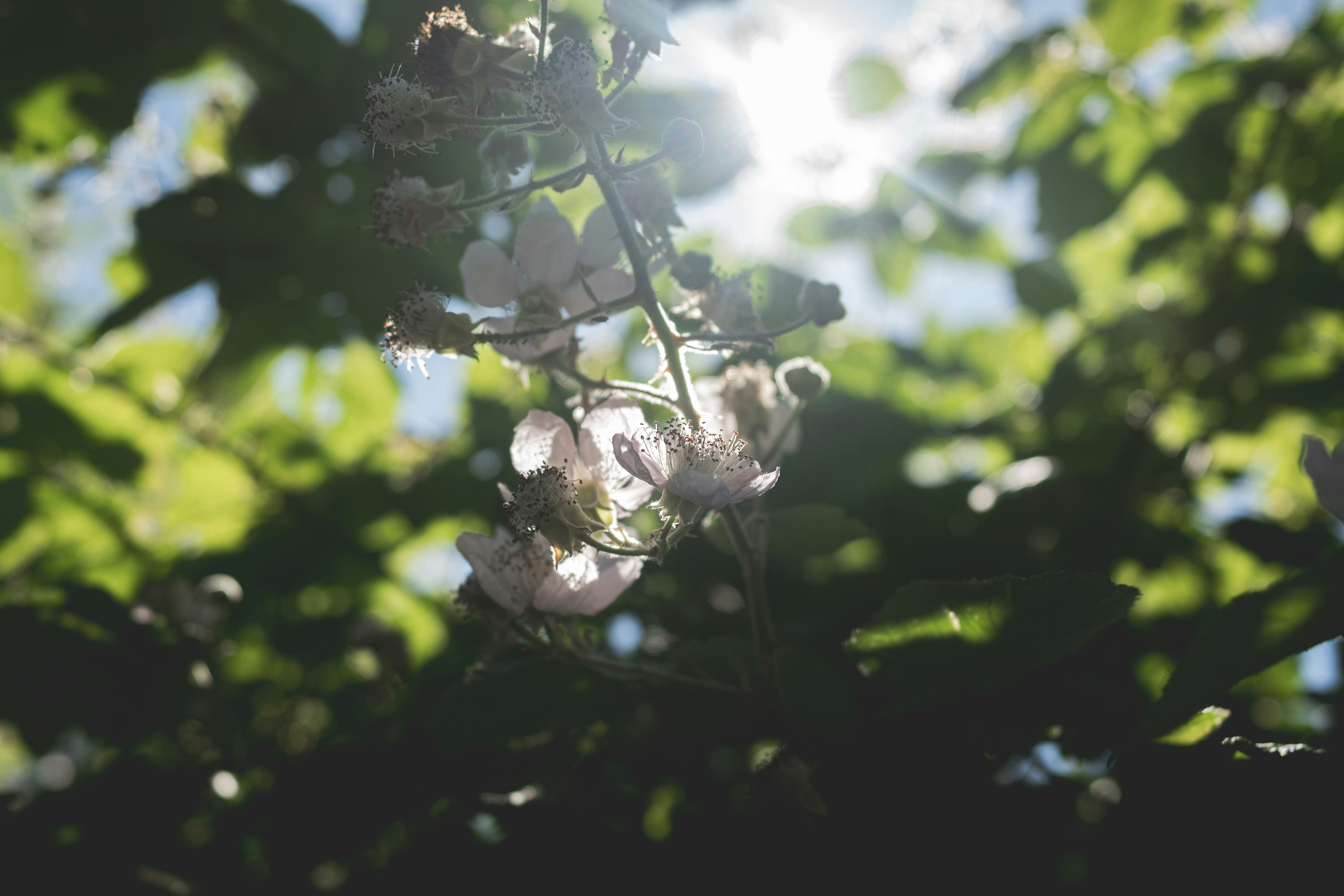 Photo by ellyendeavours