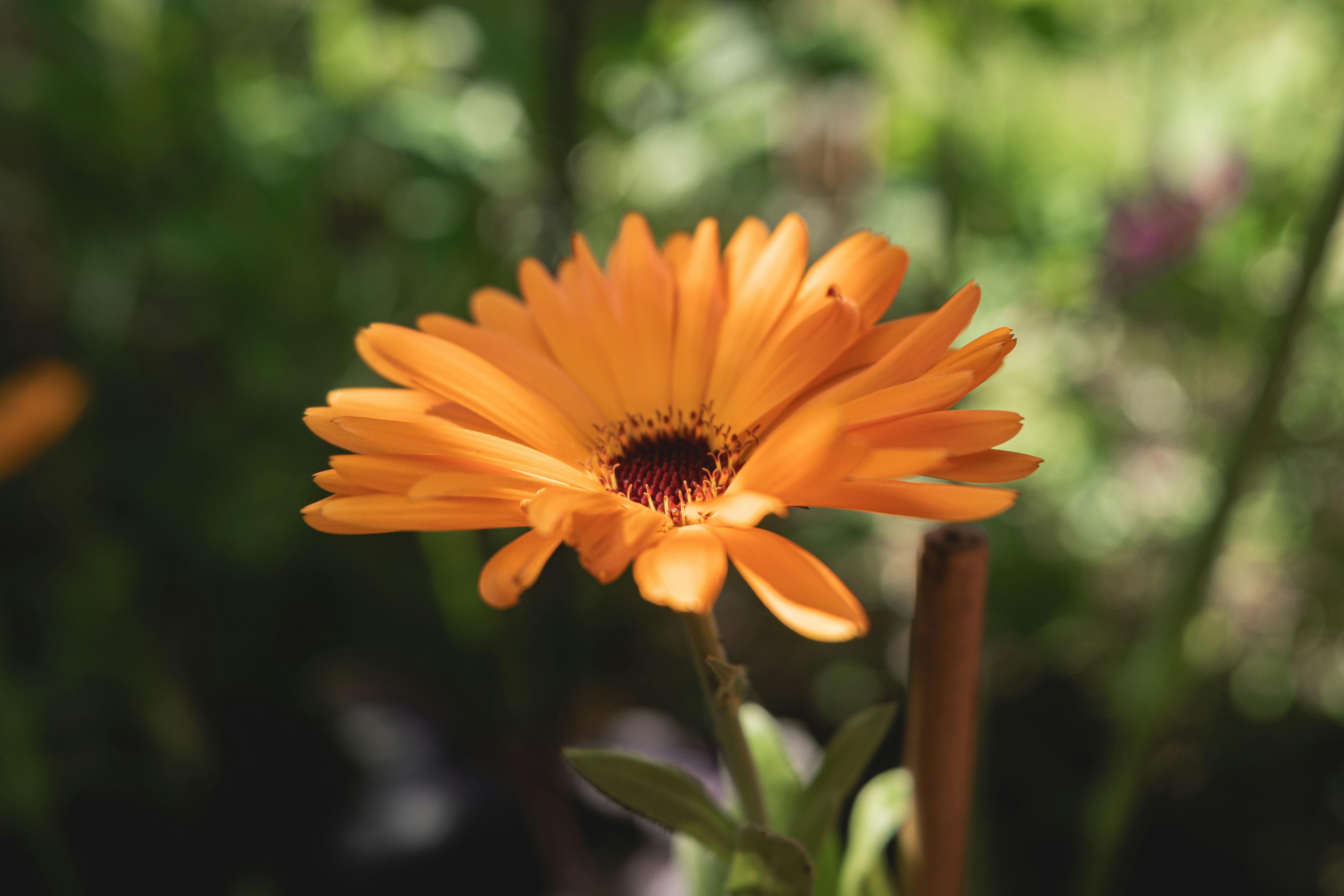 Photo by ellyendeavours