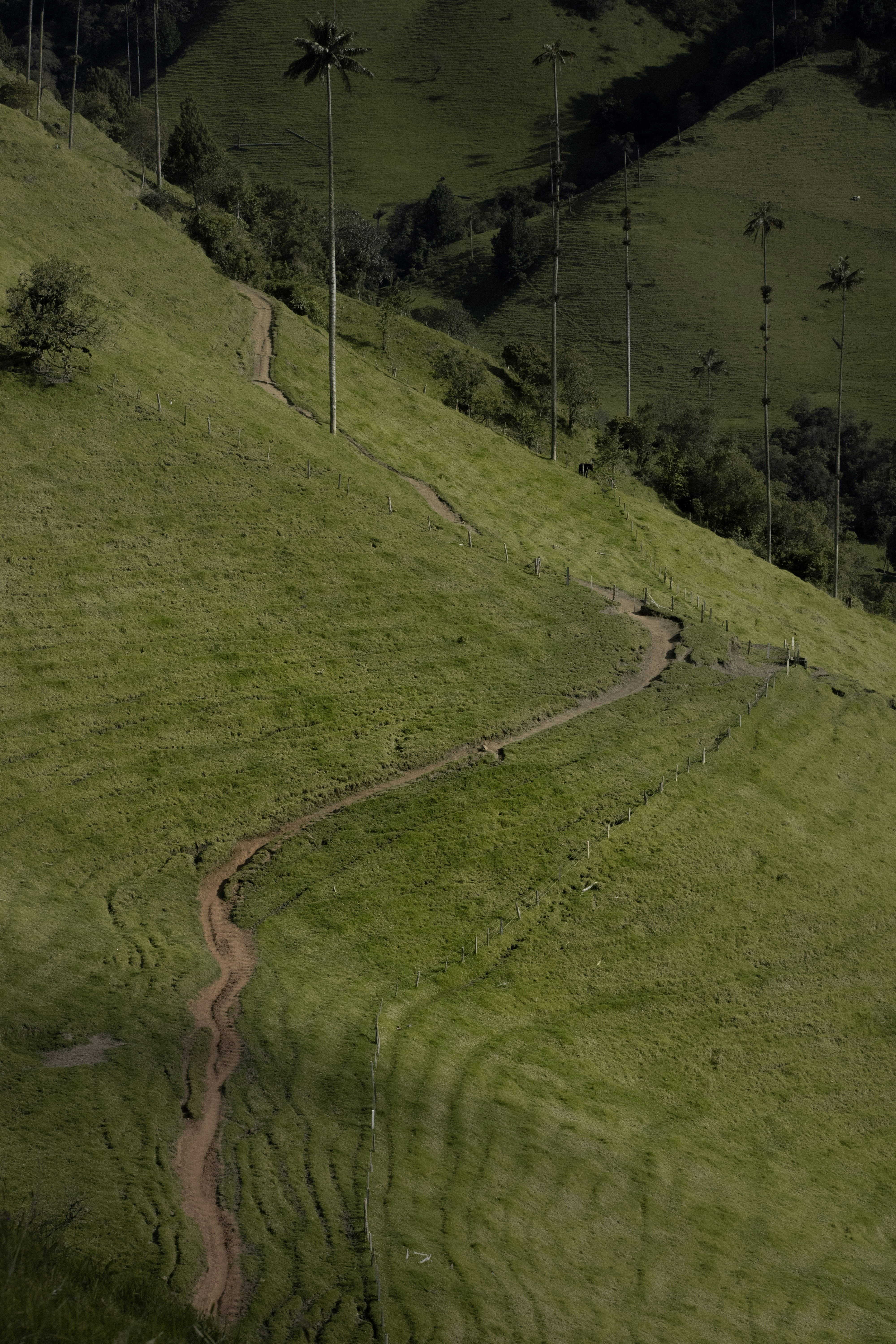 Photo by sebaslaverde_nkn