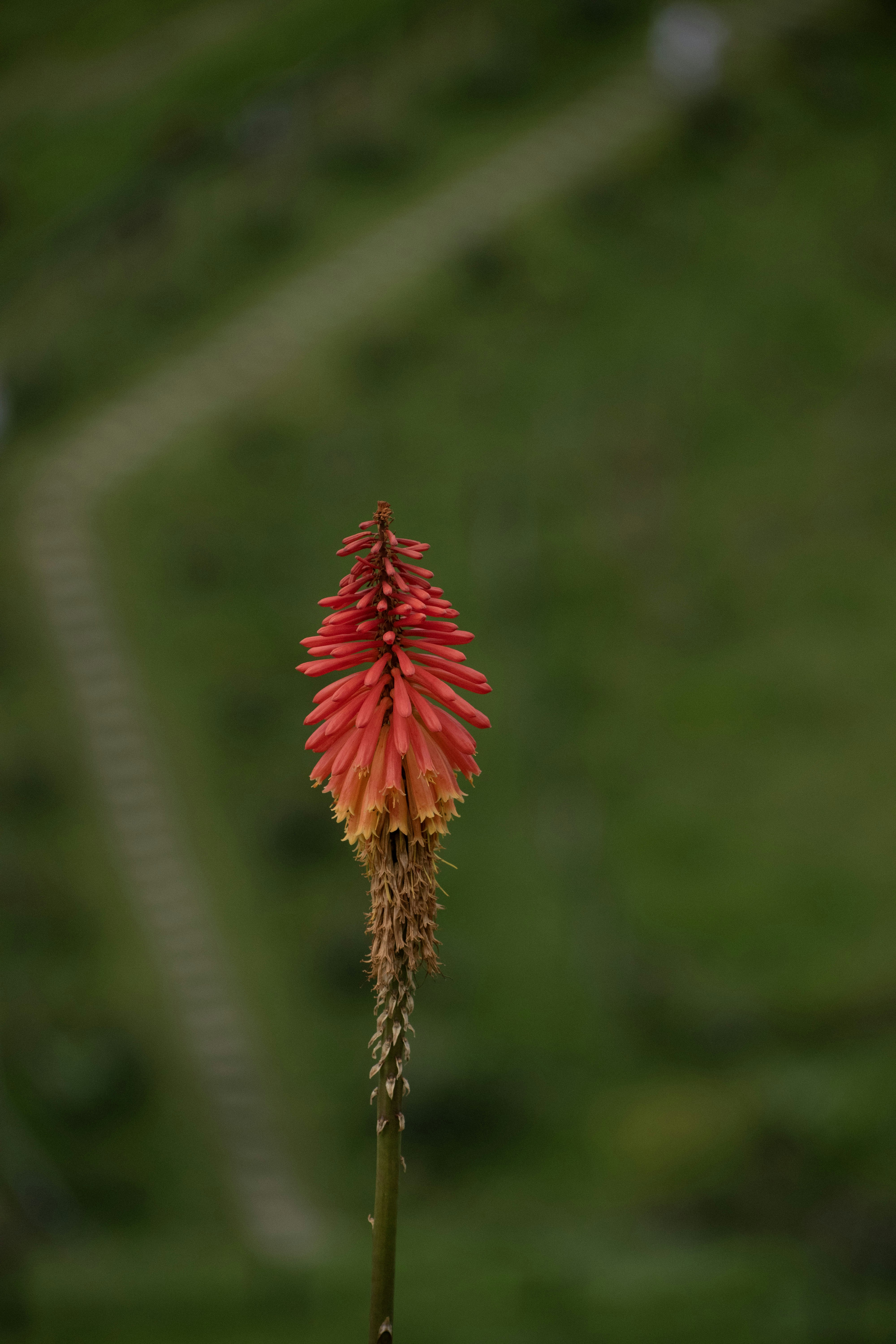 Photo by sebaslaverde_nkn