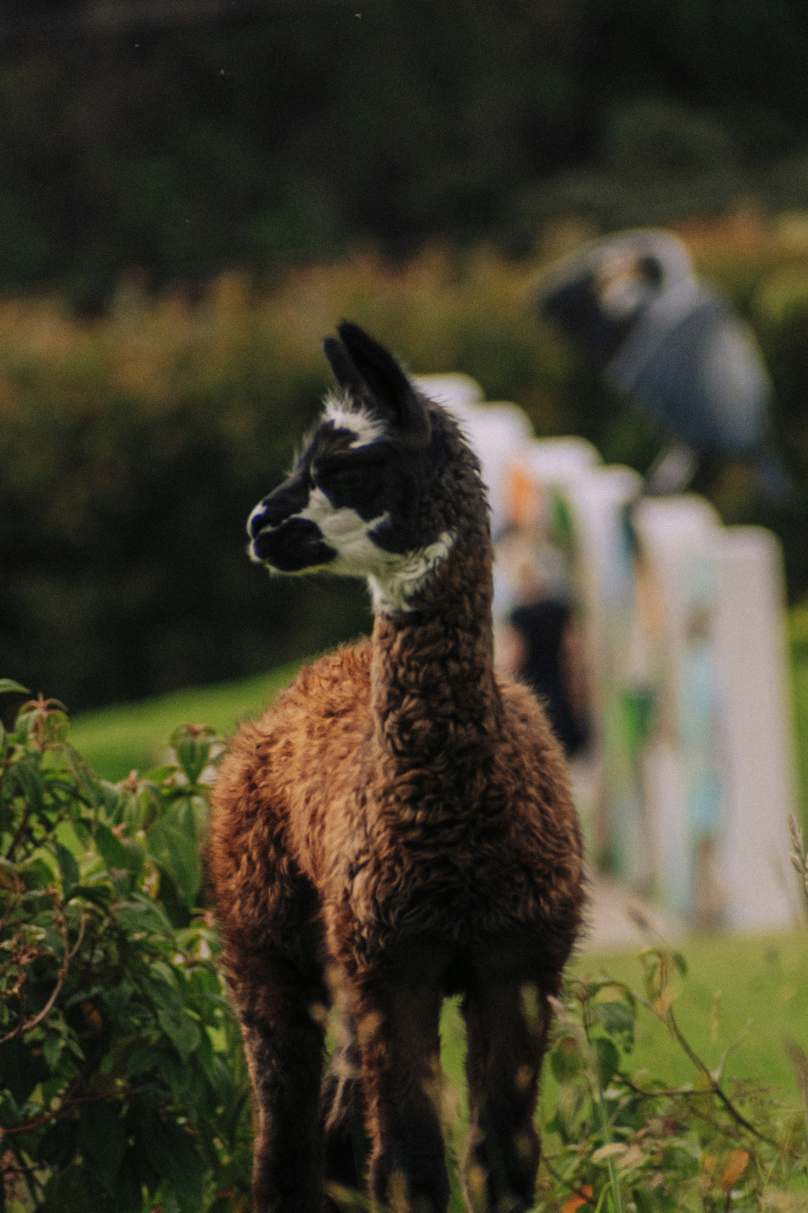 Photo by sebaslaverde_nkn