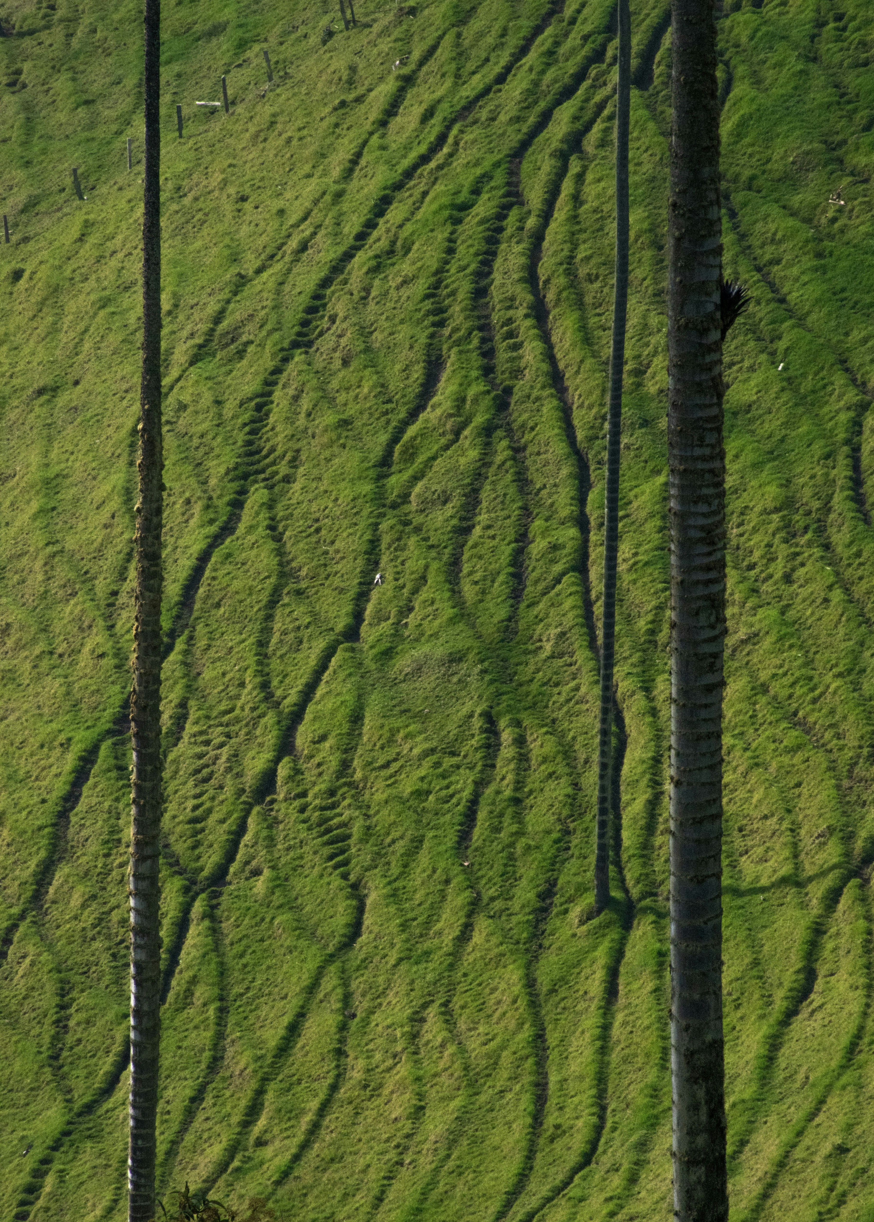 Photo by sebaslaverde_nkn