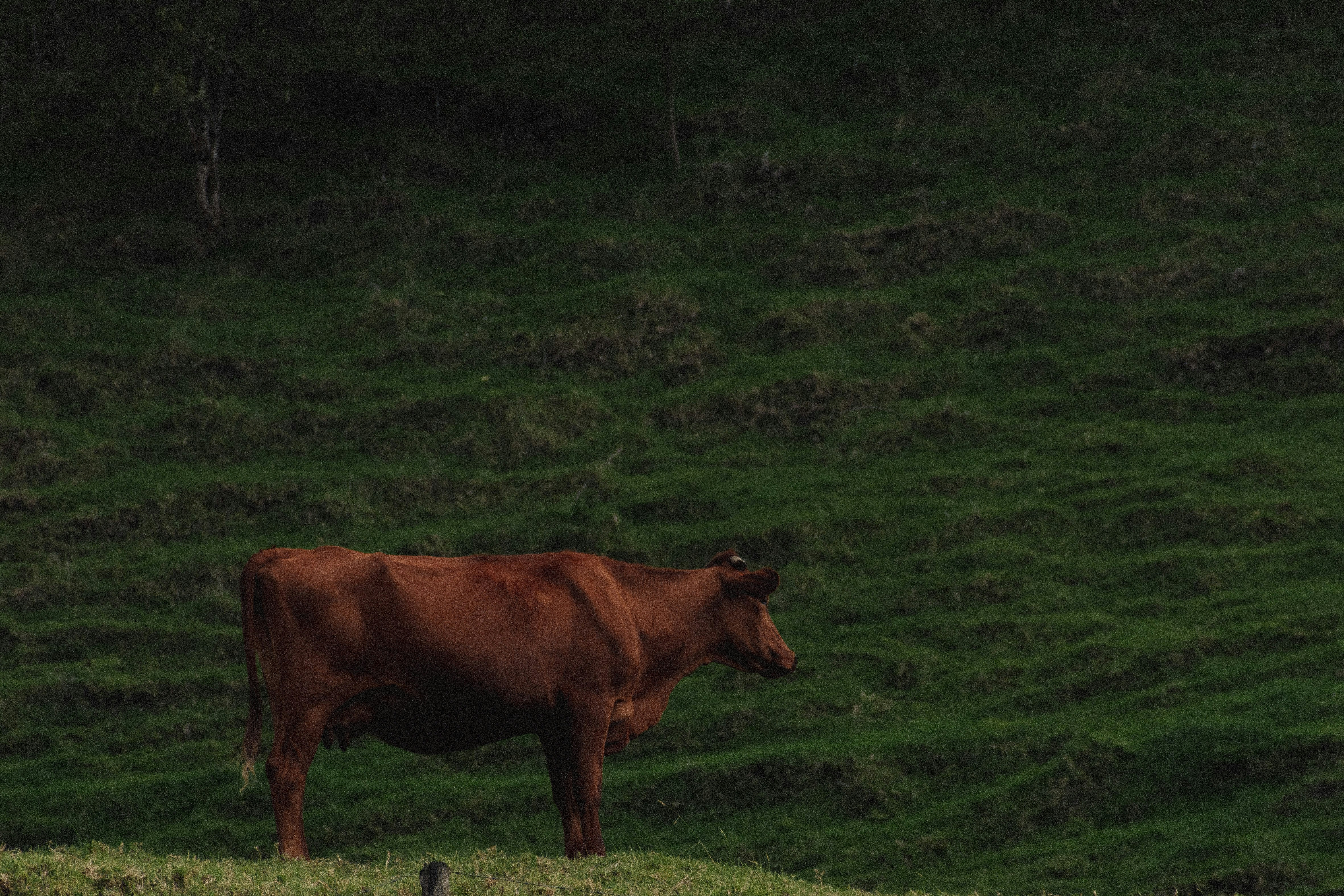 Photo by sebaslaverde_nkn