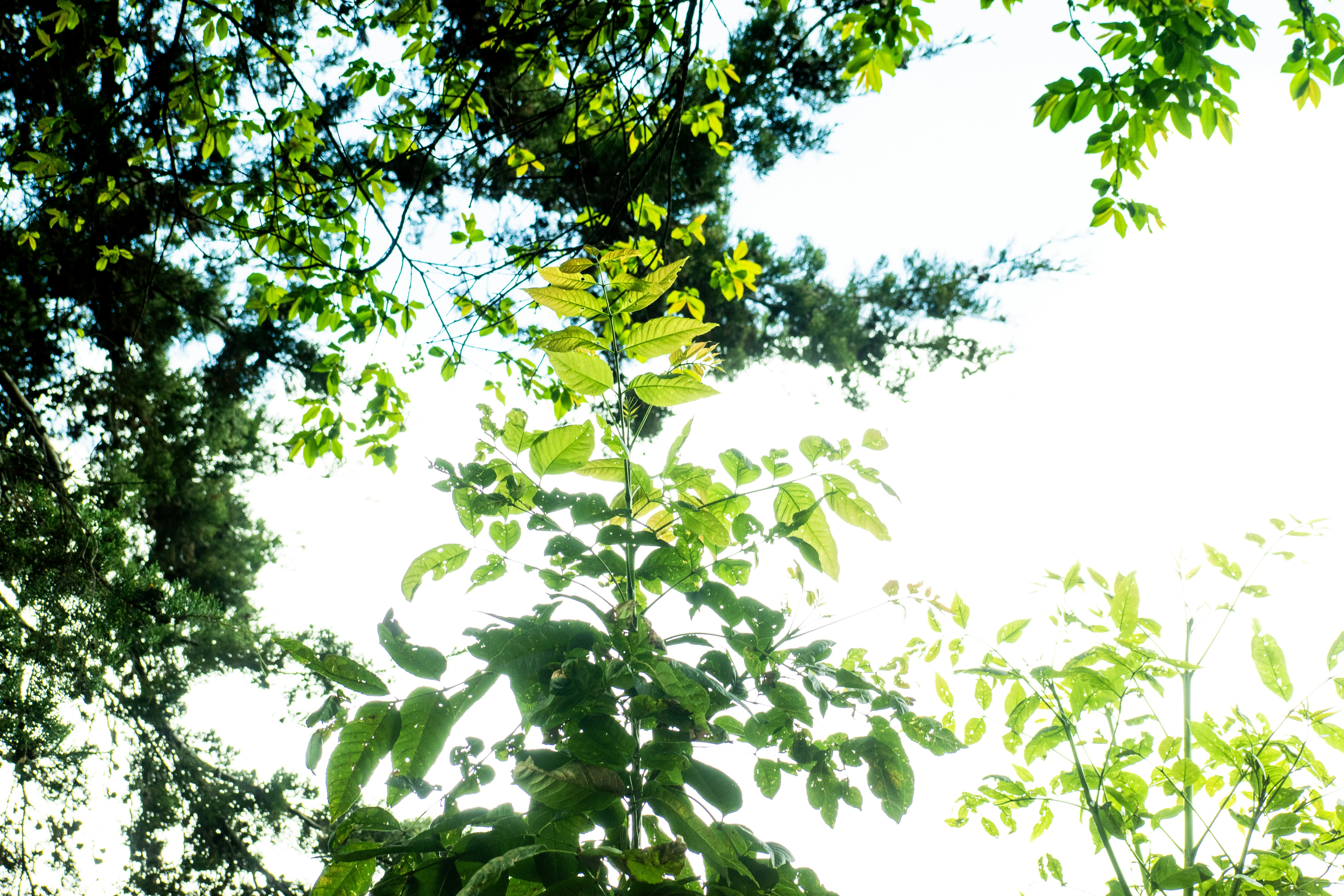 Photo by sebaslaverde_nkn