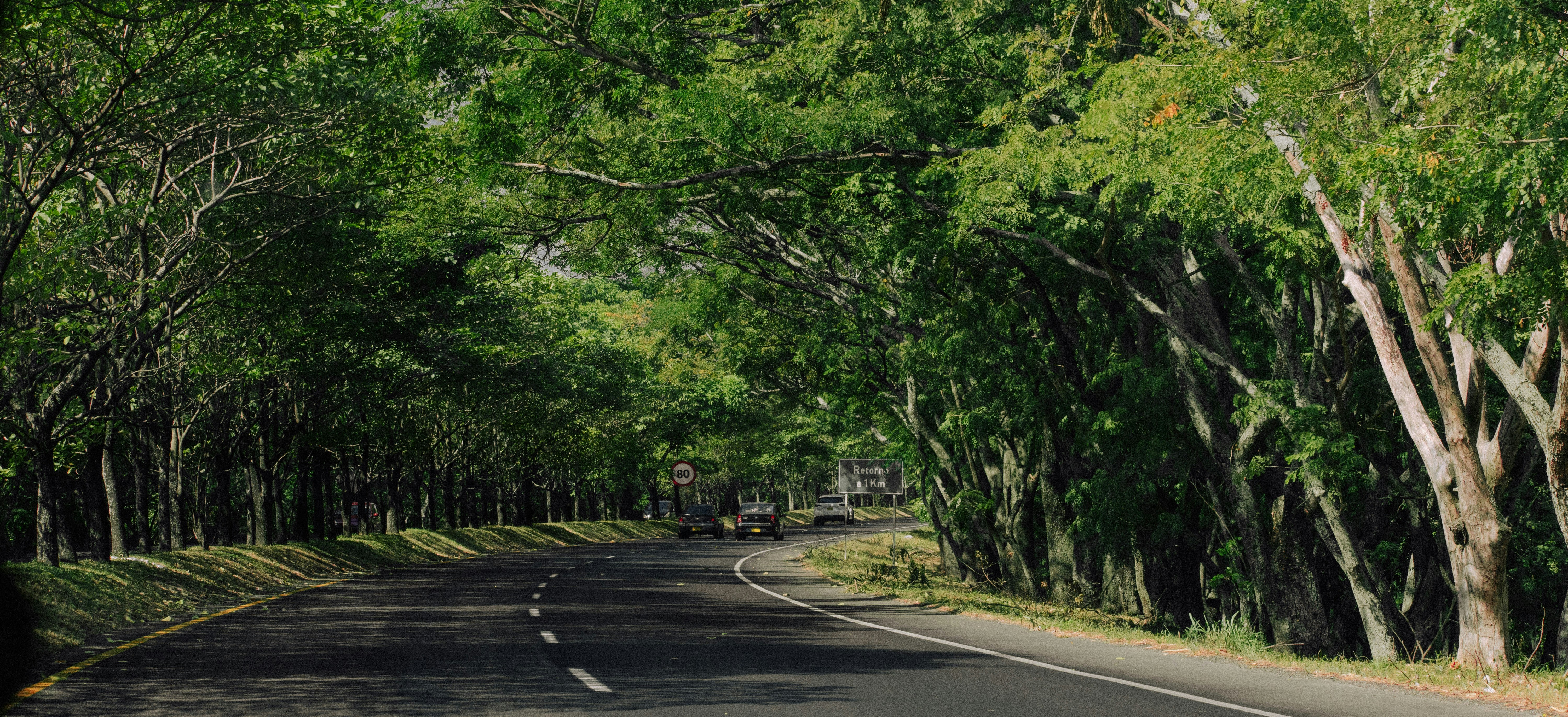 Photo by sebaslaverde_nkn