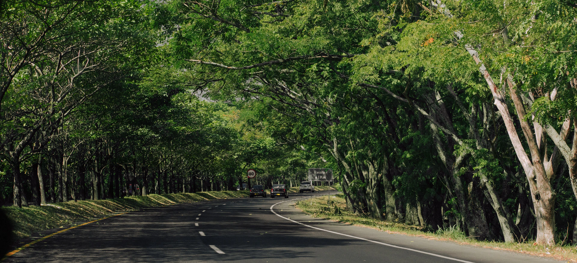 A winding road through a lush green forest.