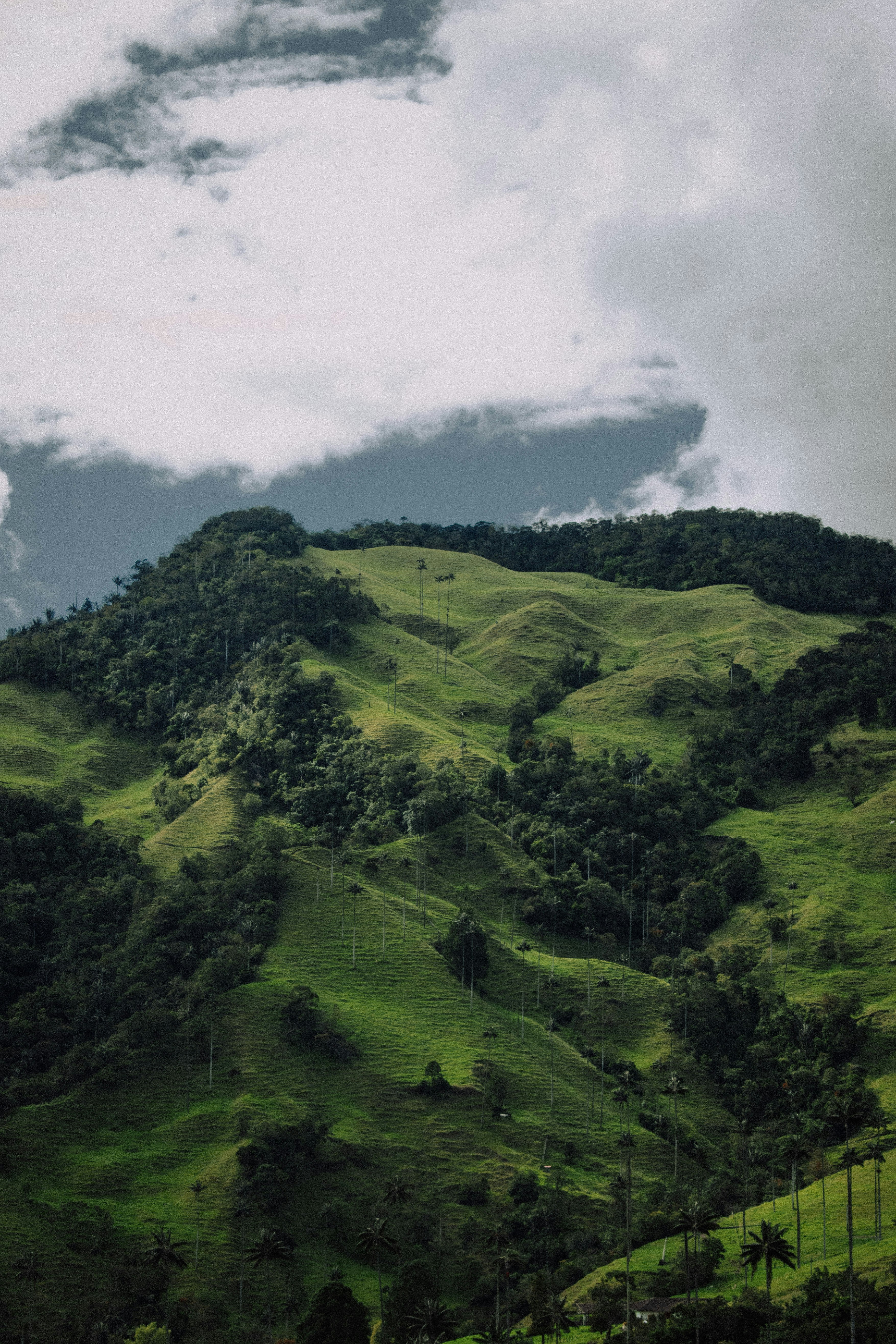 Photo by sebaslaverde_nkn