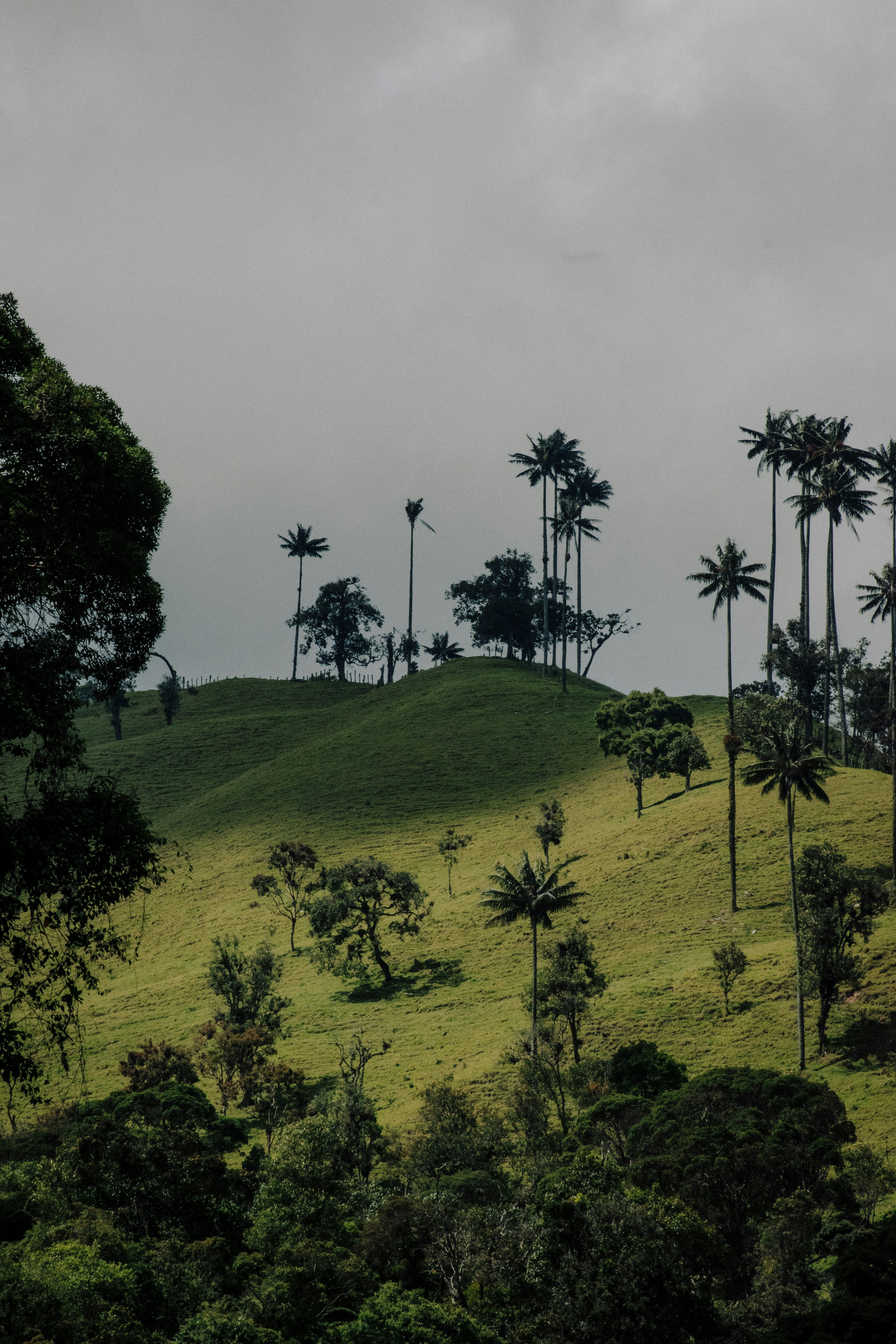 Photo by sebaslaverde_nkn