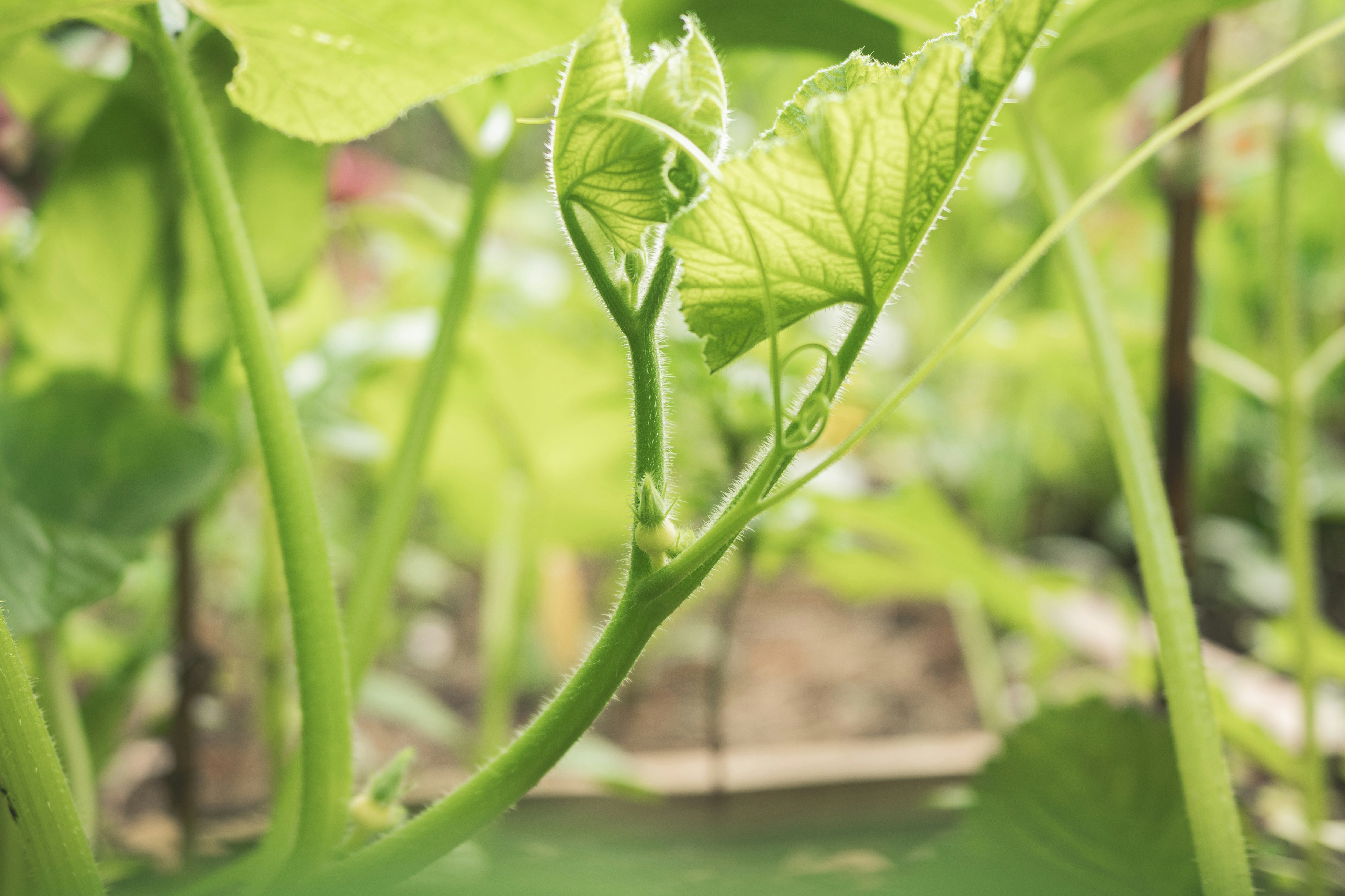 Photo by ellyendeavours