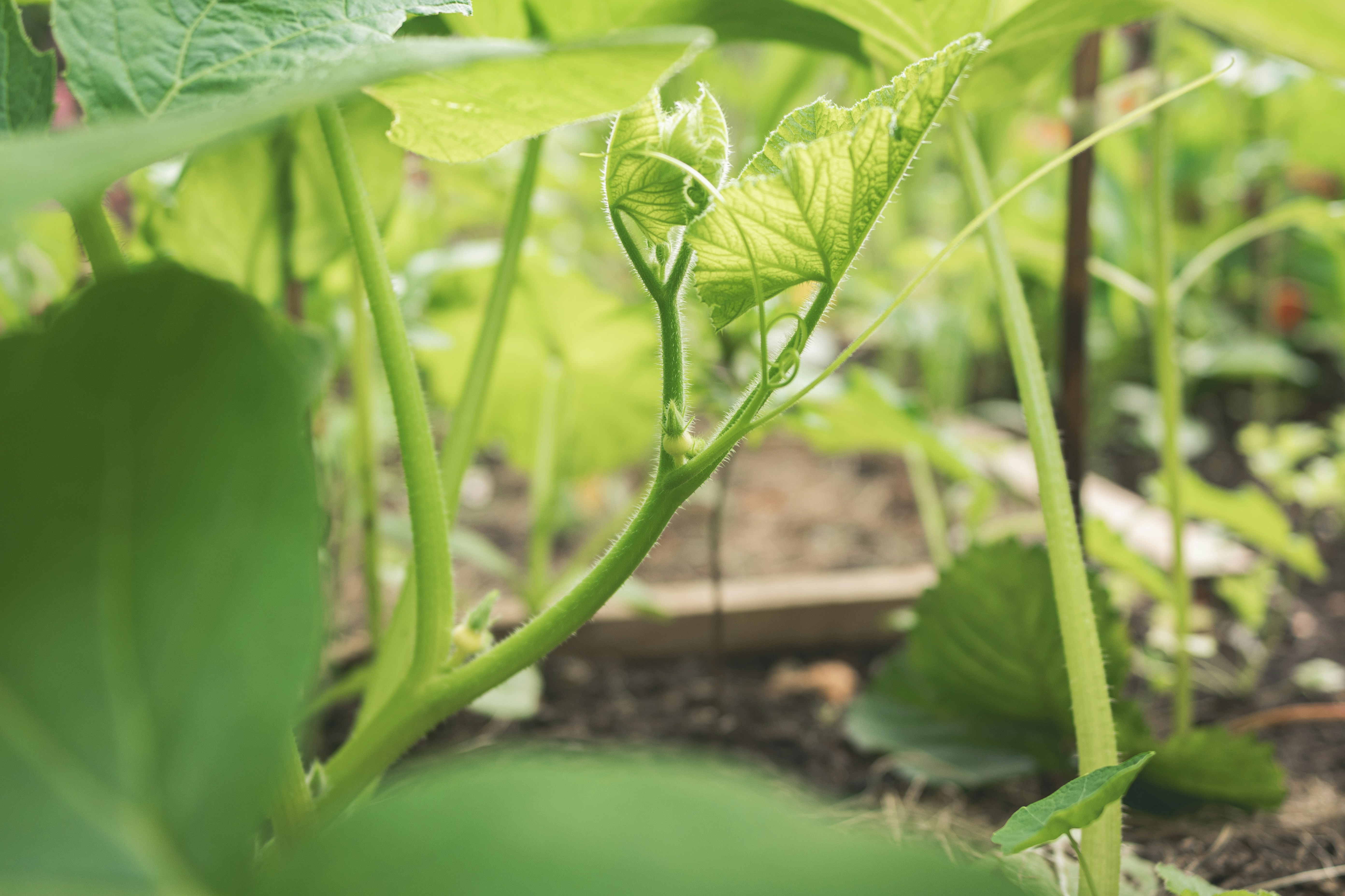 Photo by ellyendeavours