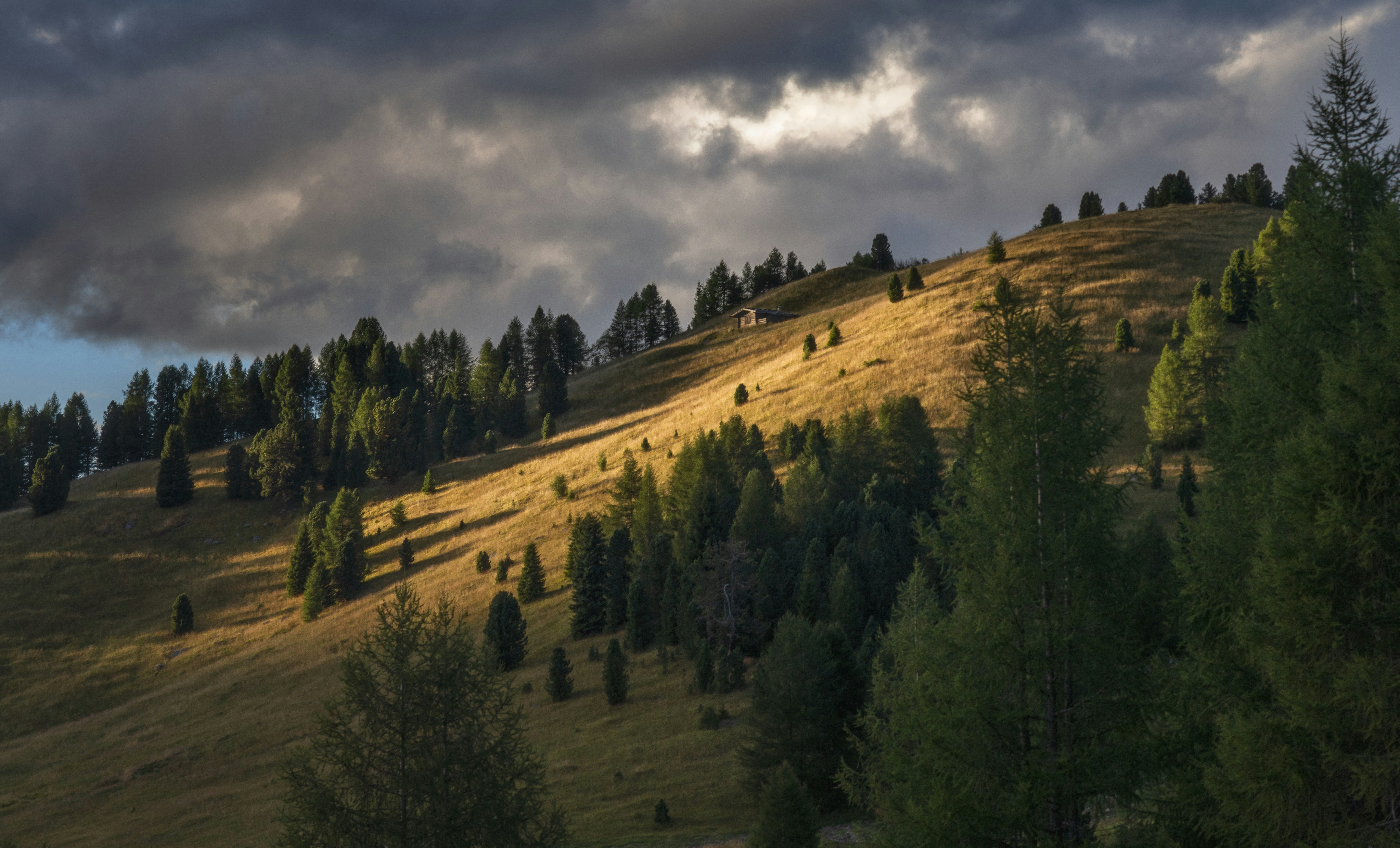 Photo by intricateexplorer