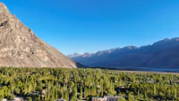 Best Budget Hostels in Nubra Valley That Are Actually Worth Staying In