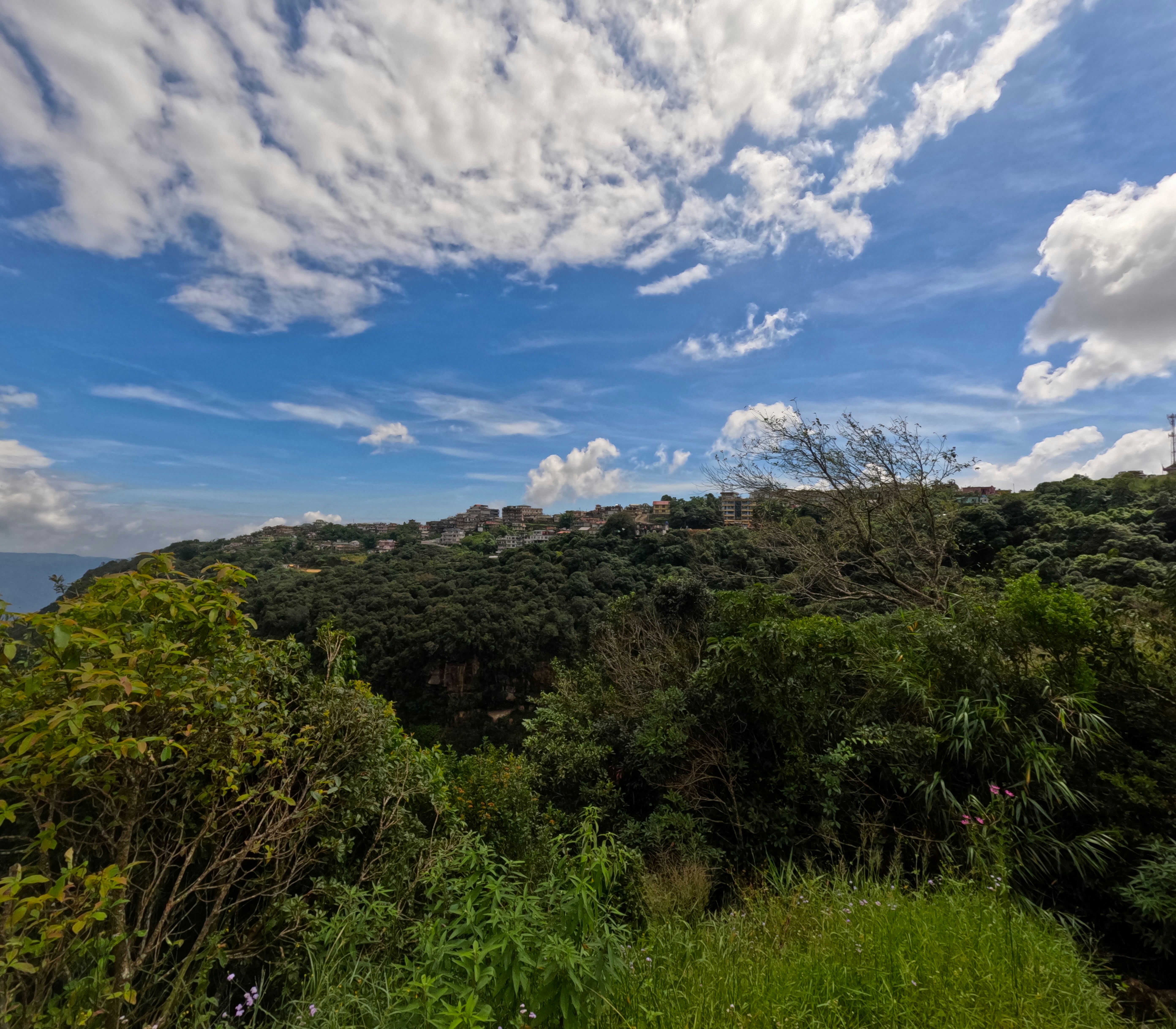 Photo by initinmishra