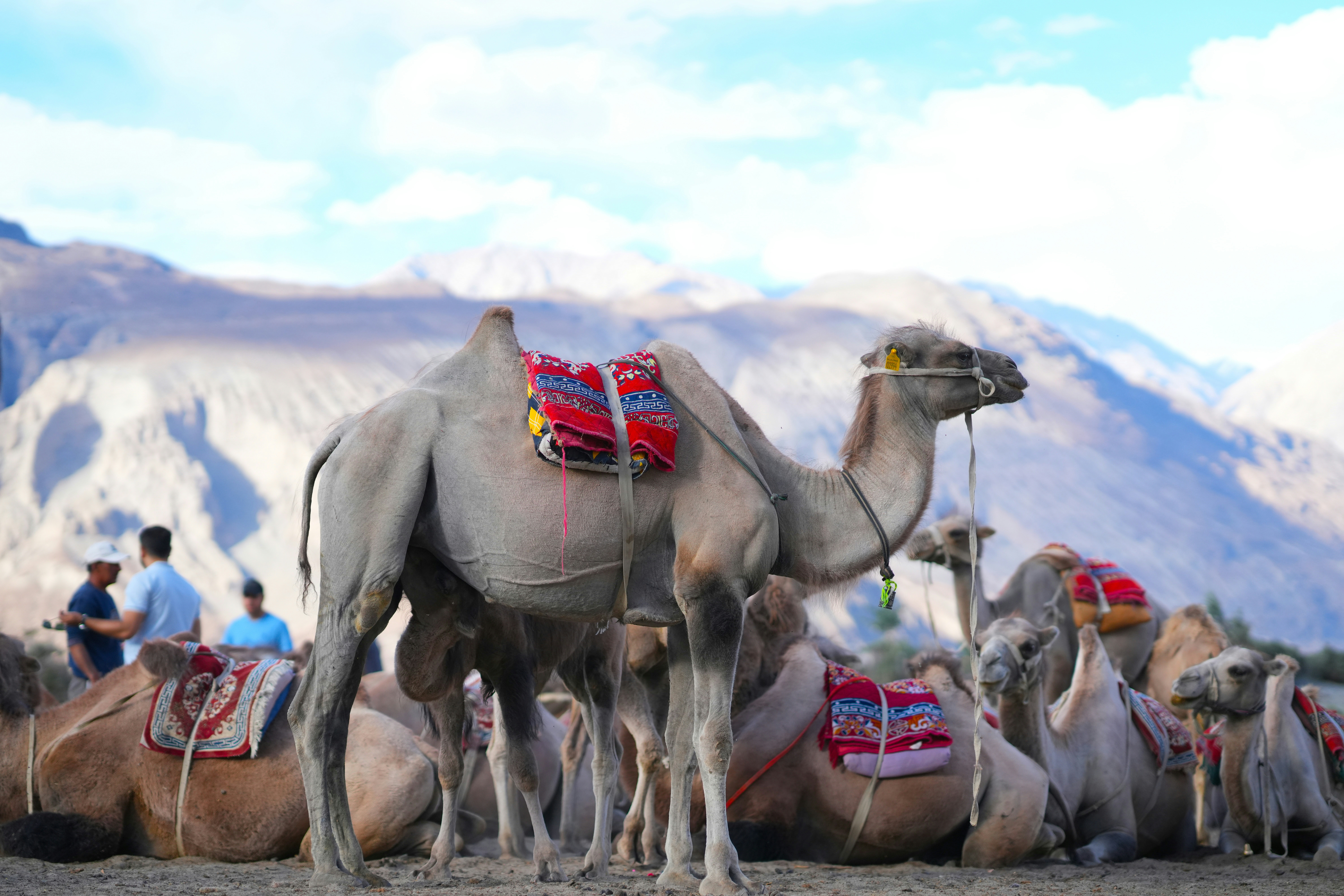 Photo by initinmishra