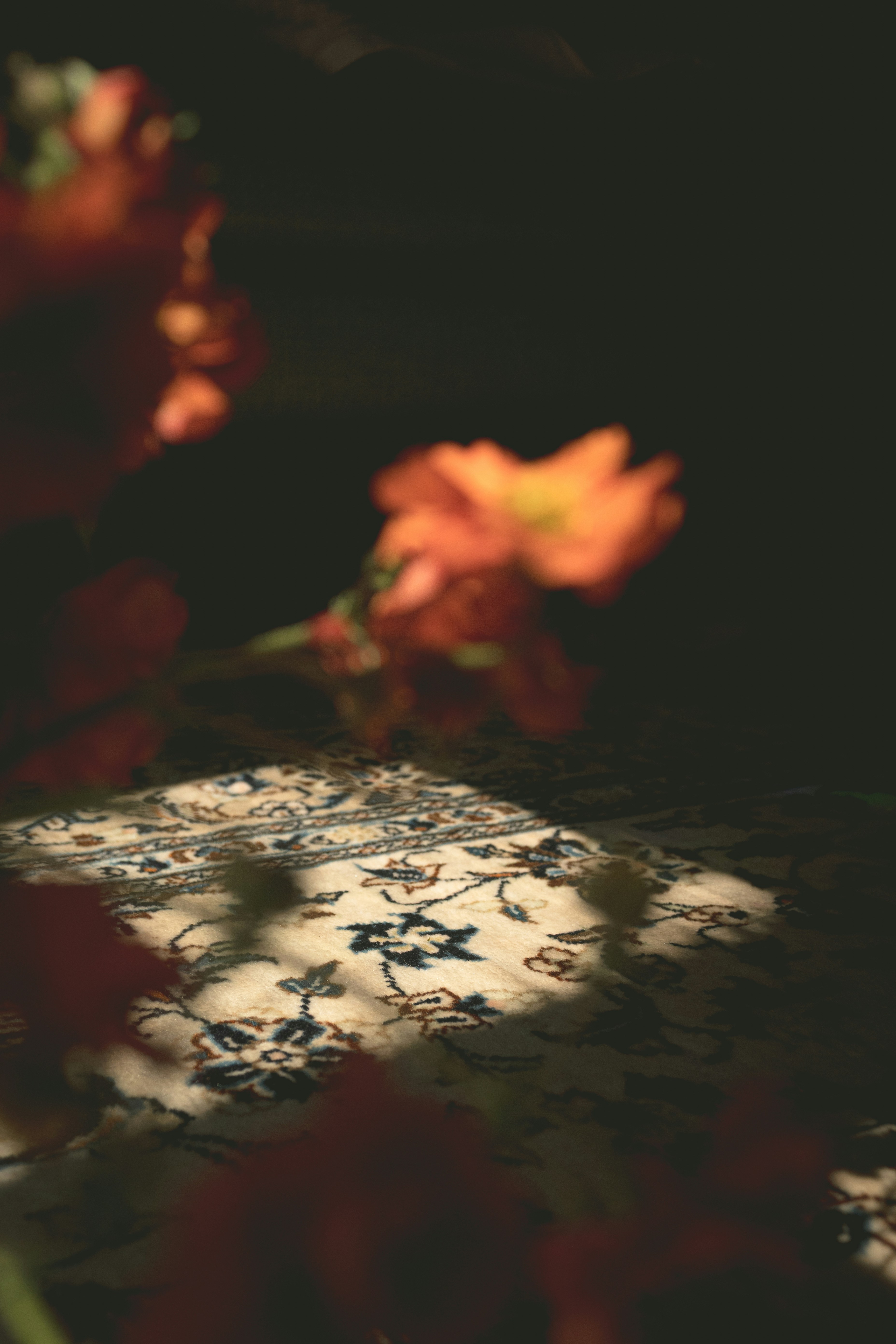 Orange flowers cast shadows on a patterned rug.