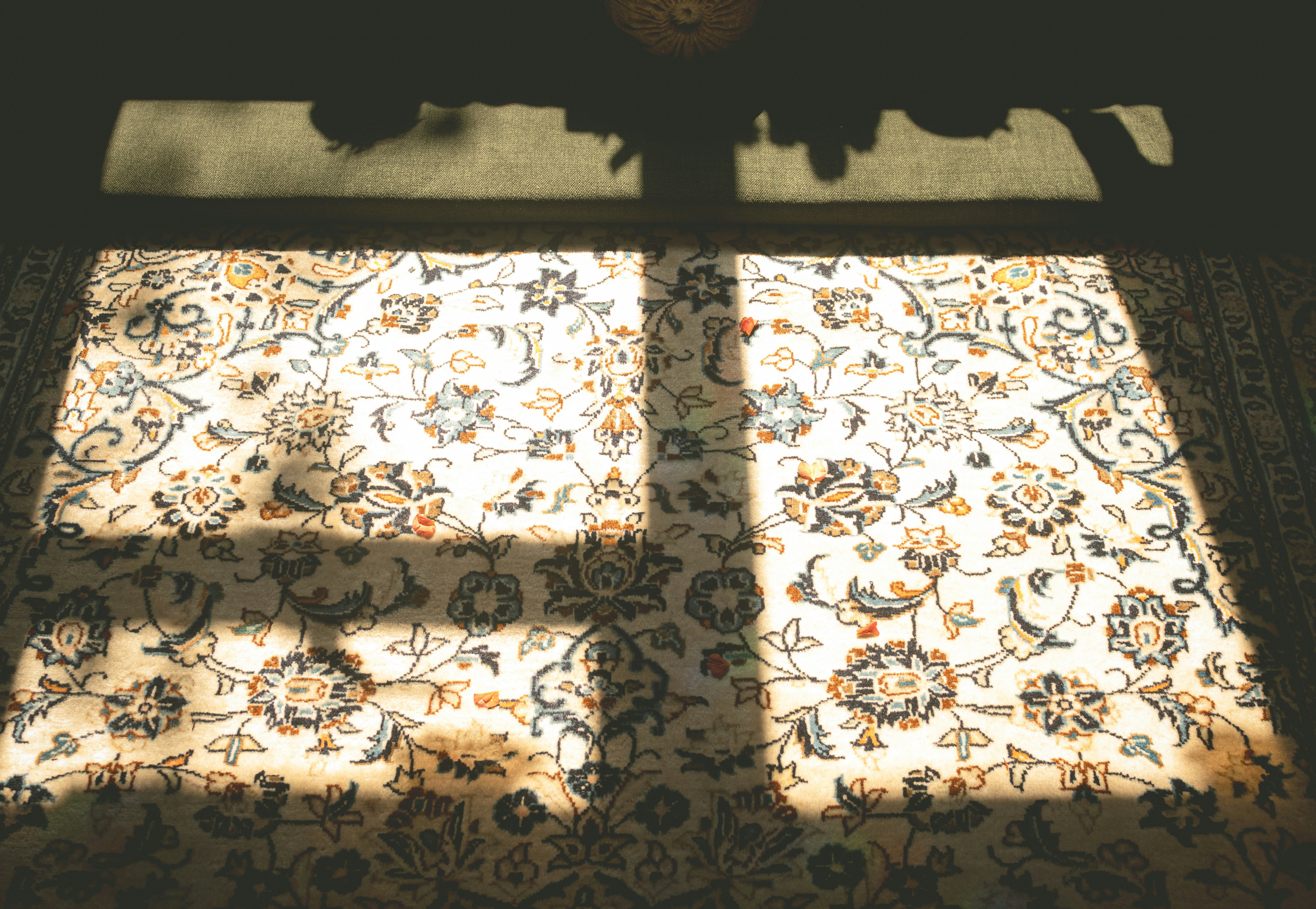 Sunlight streams through a window onto a patterned rug.