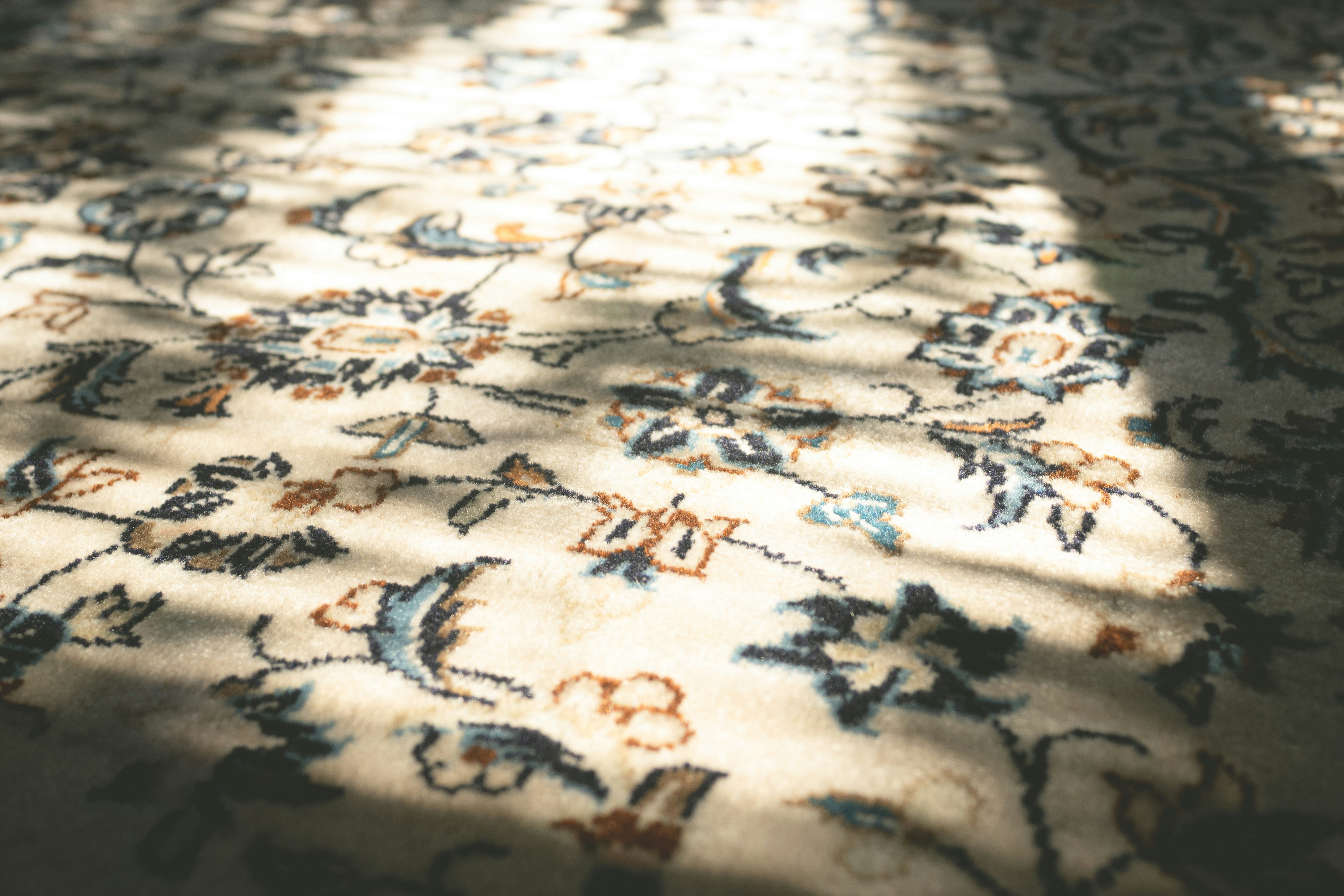 Close-up of a floral patterned rug with sunlight shadows.