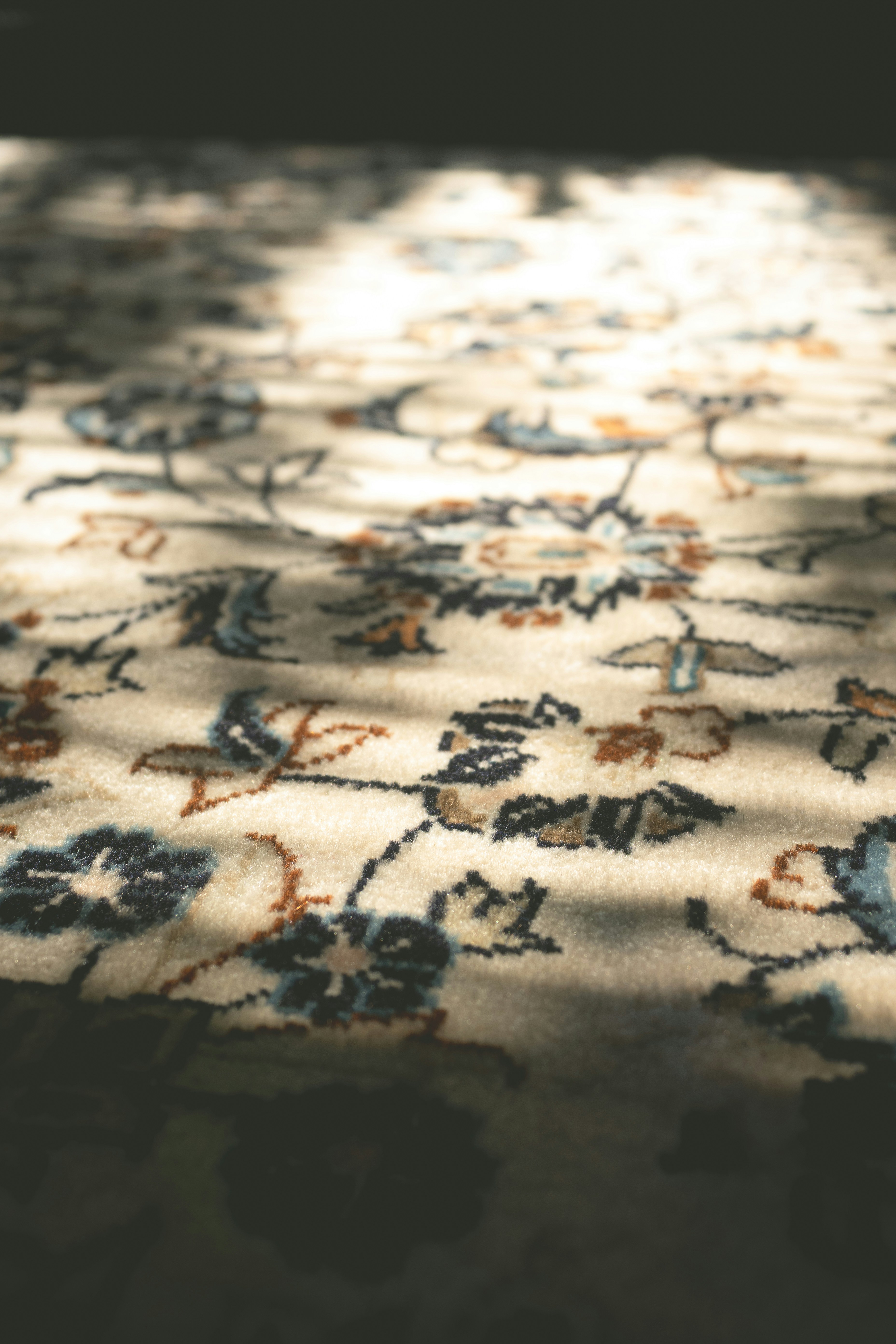 Close-up of a floral patterned rug with sunlight stripes.