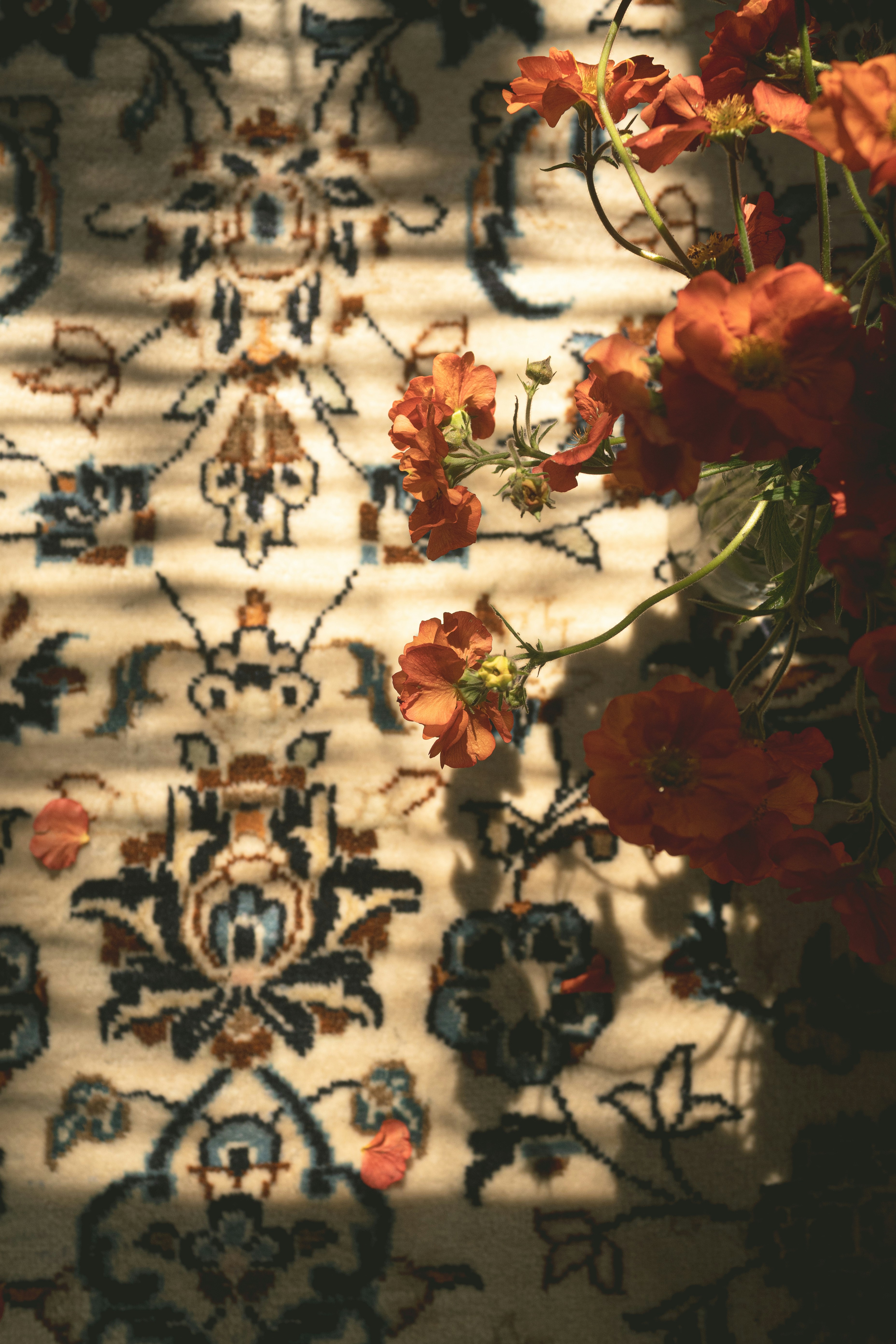 Orange flowers cast shadows on a patterned rug.