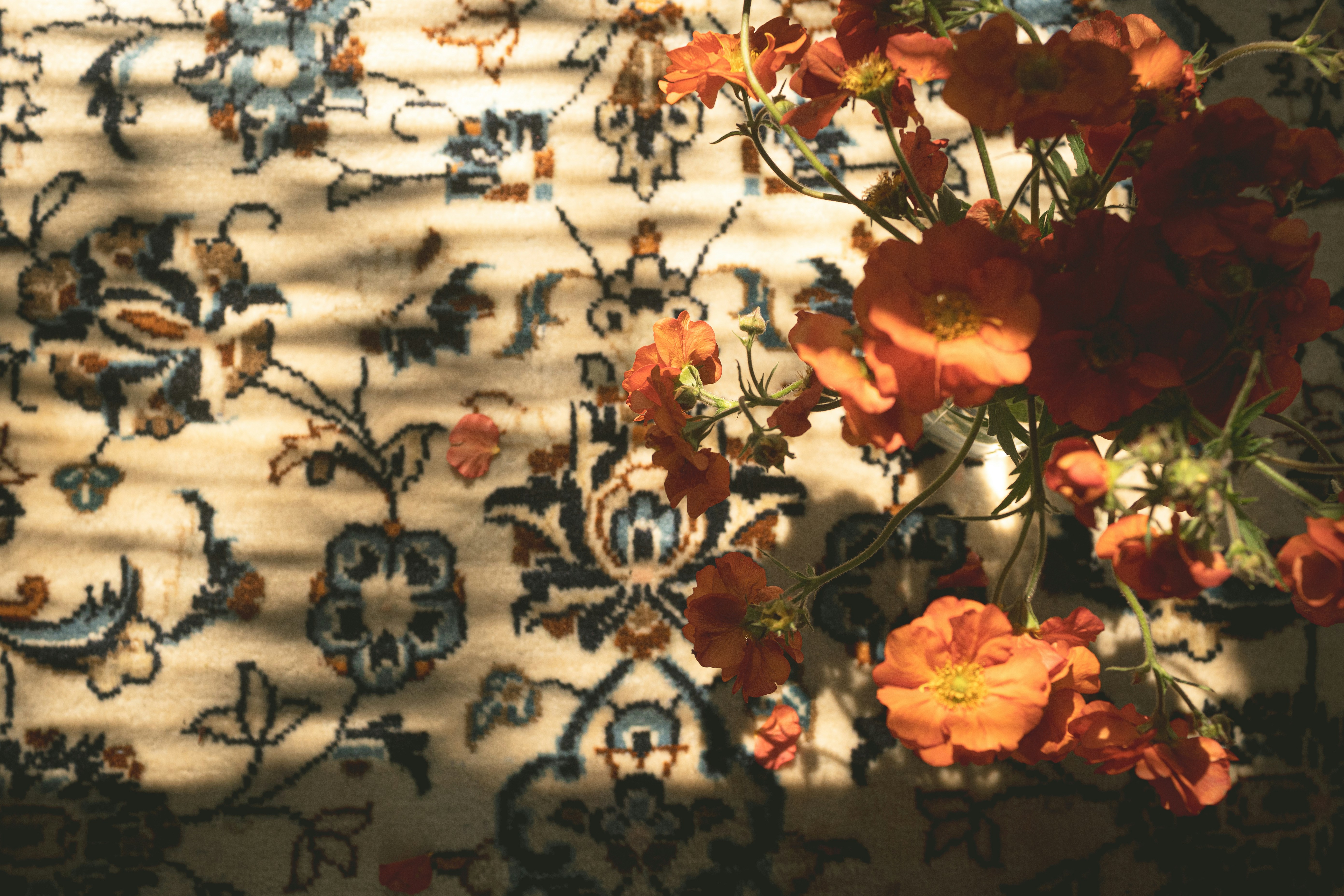 Orange flowers on a patterned rug with sunlight shadows