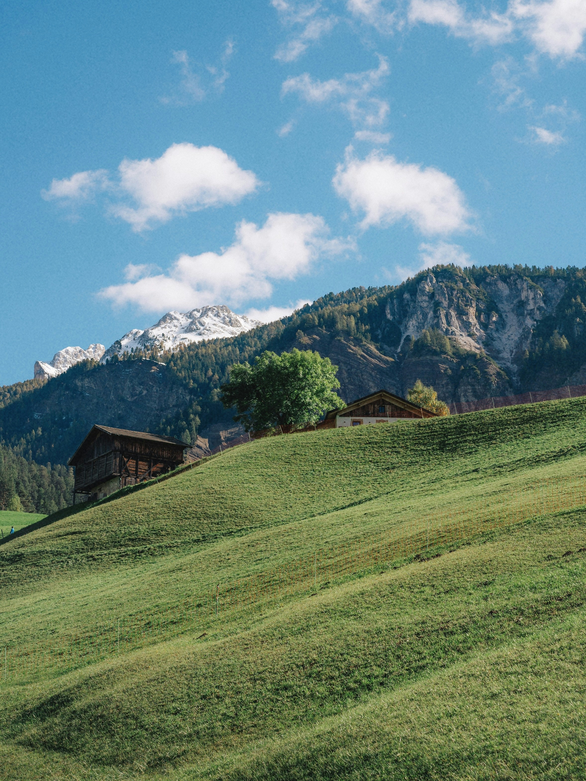 Capanne di legno su un pendio erboso con montagne