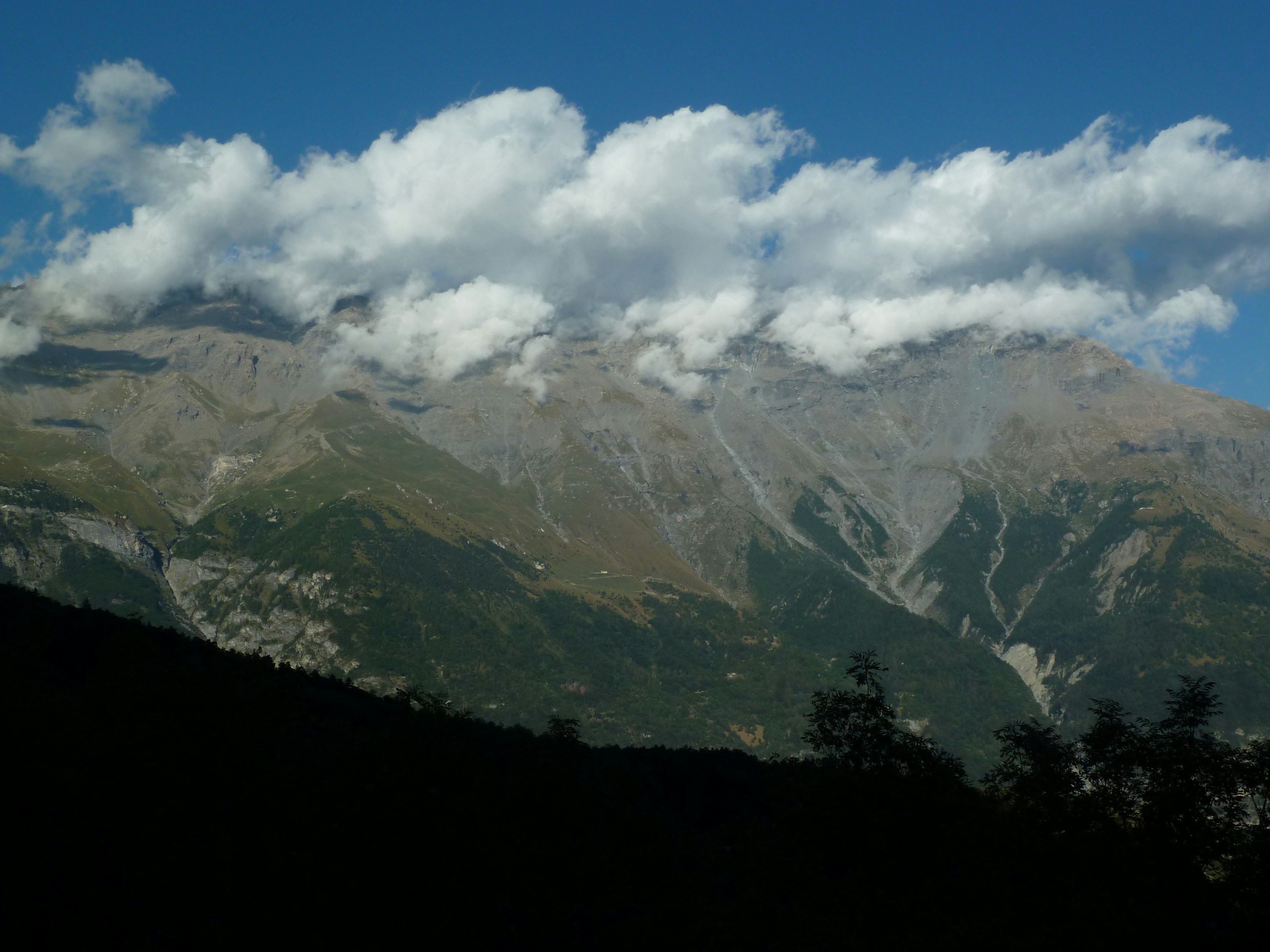 Photo by sergei_gussev