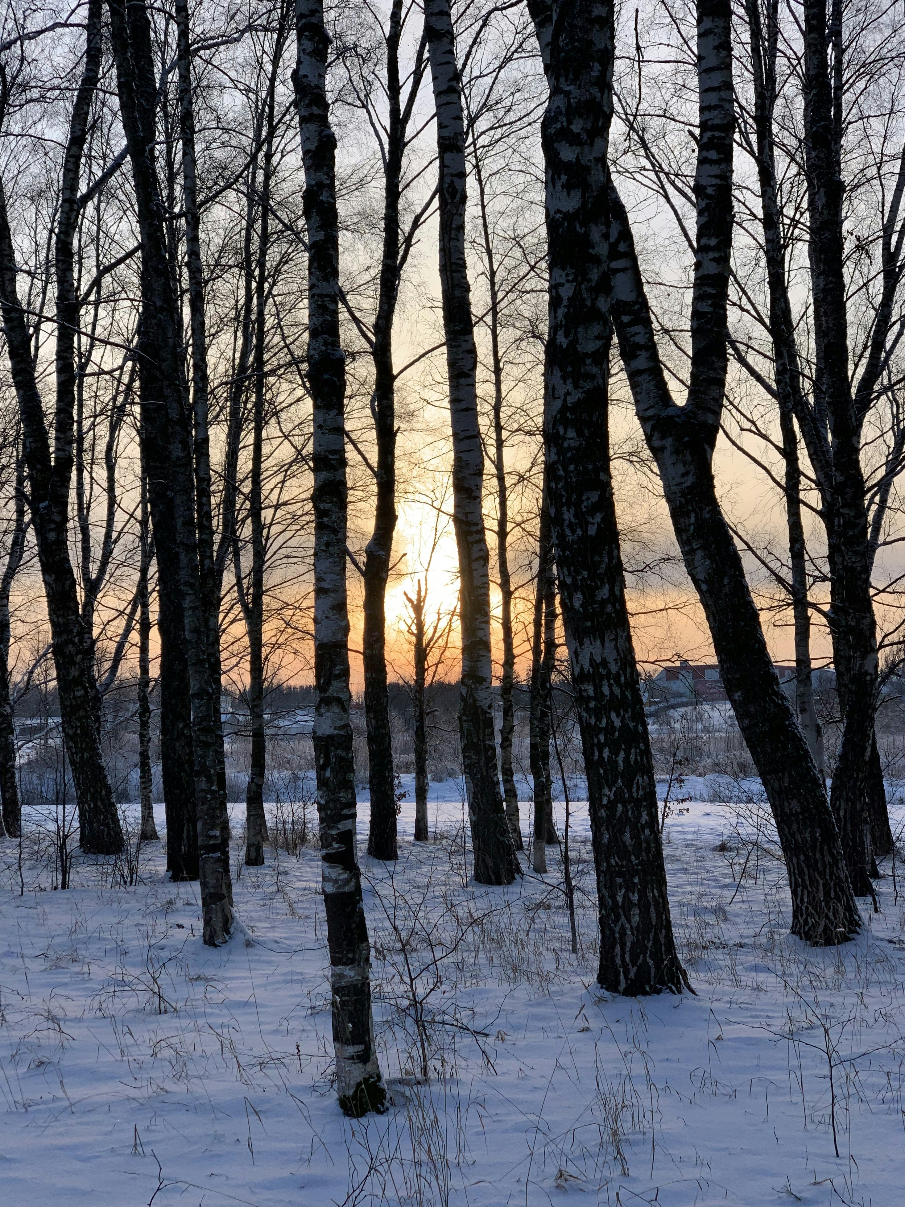 Photo by sergei_gussev