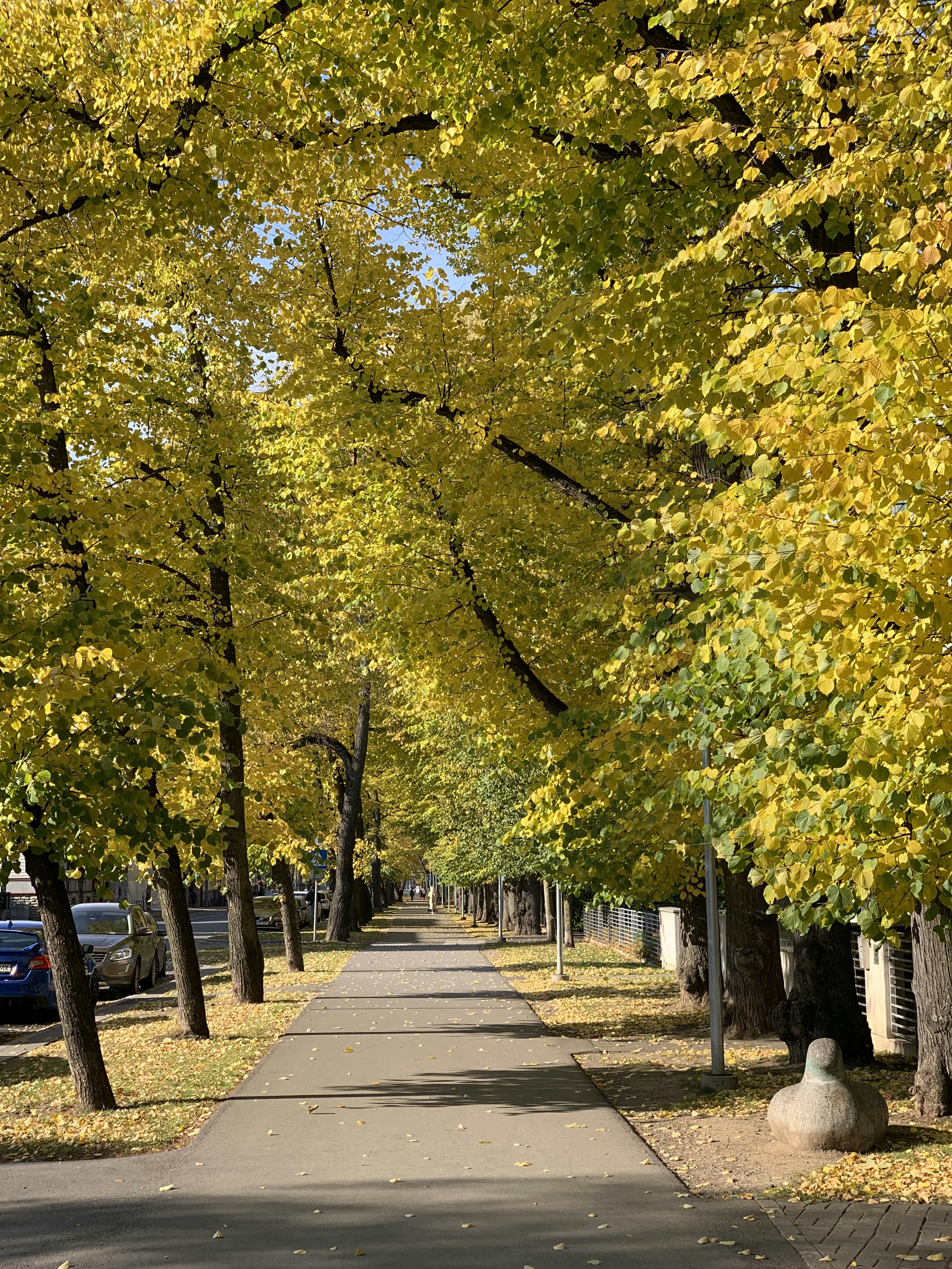 Photo by sergei_gussev