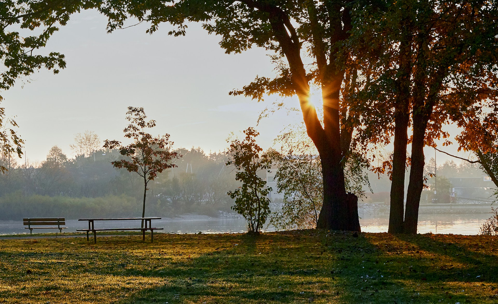 Sunlight streams through trees in a misty park setting.