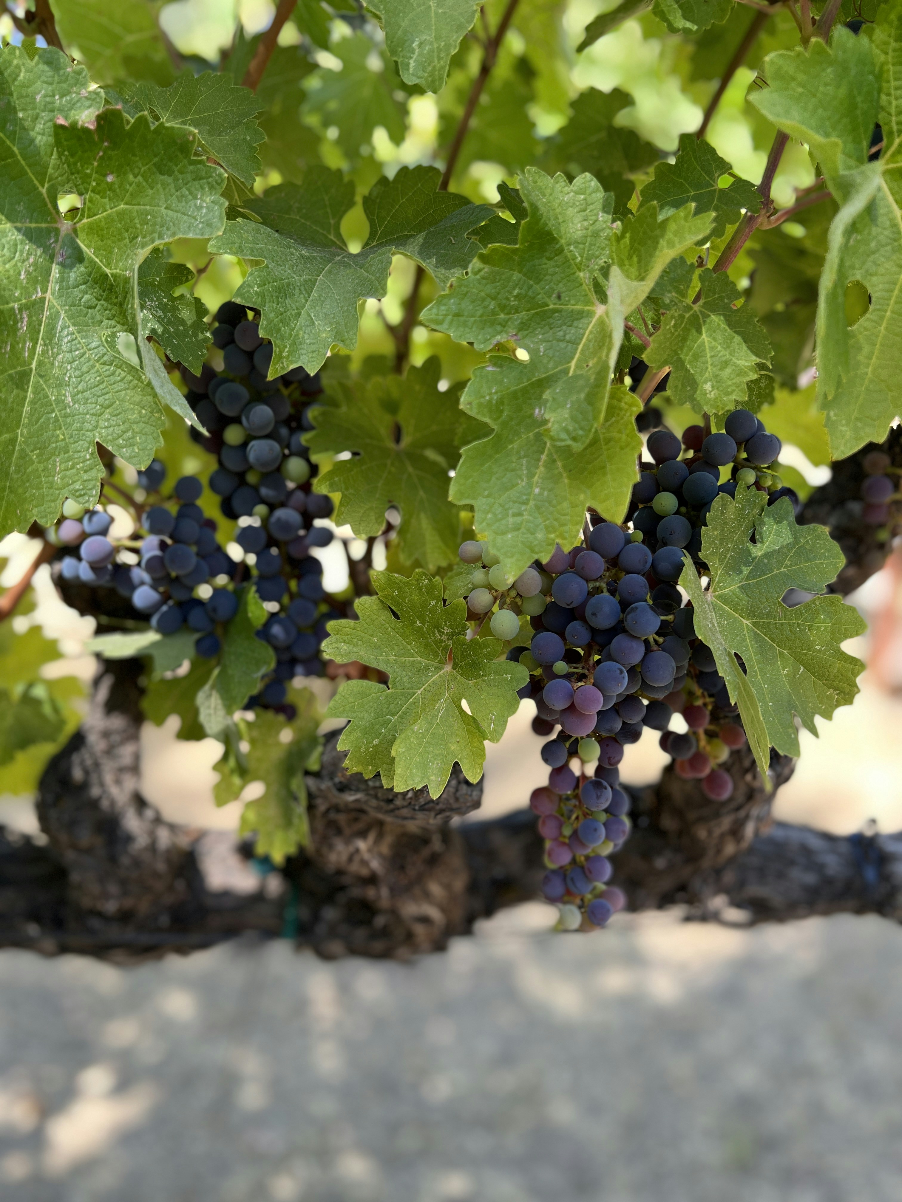 Photo by howmyworldtravels