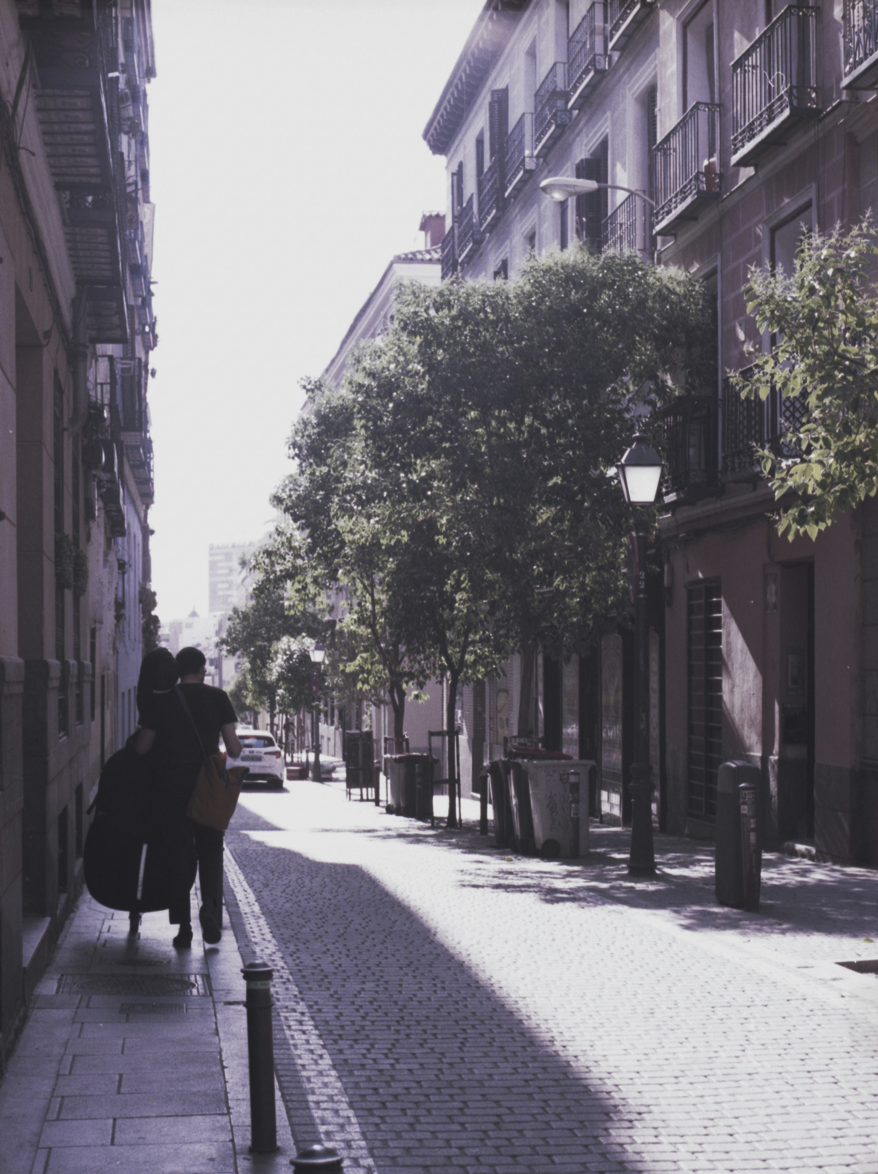 Two people walk down a tree-lined european street.